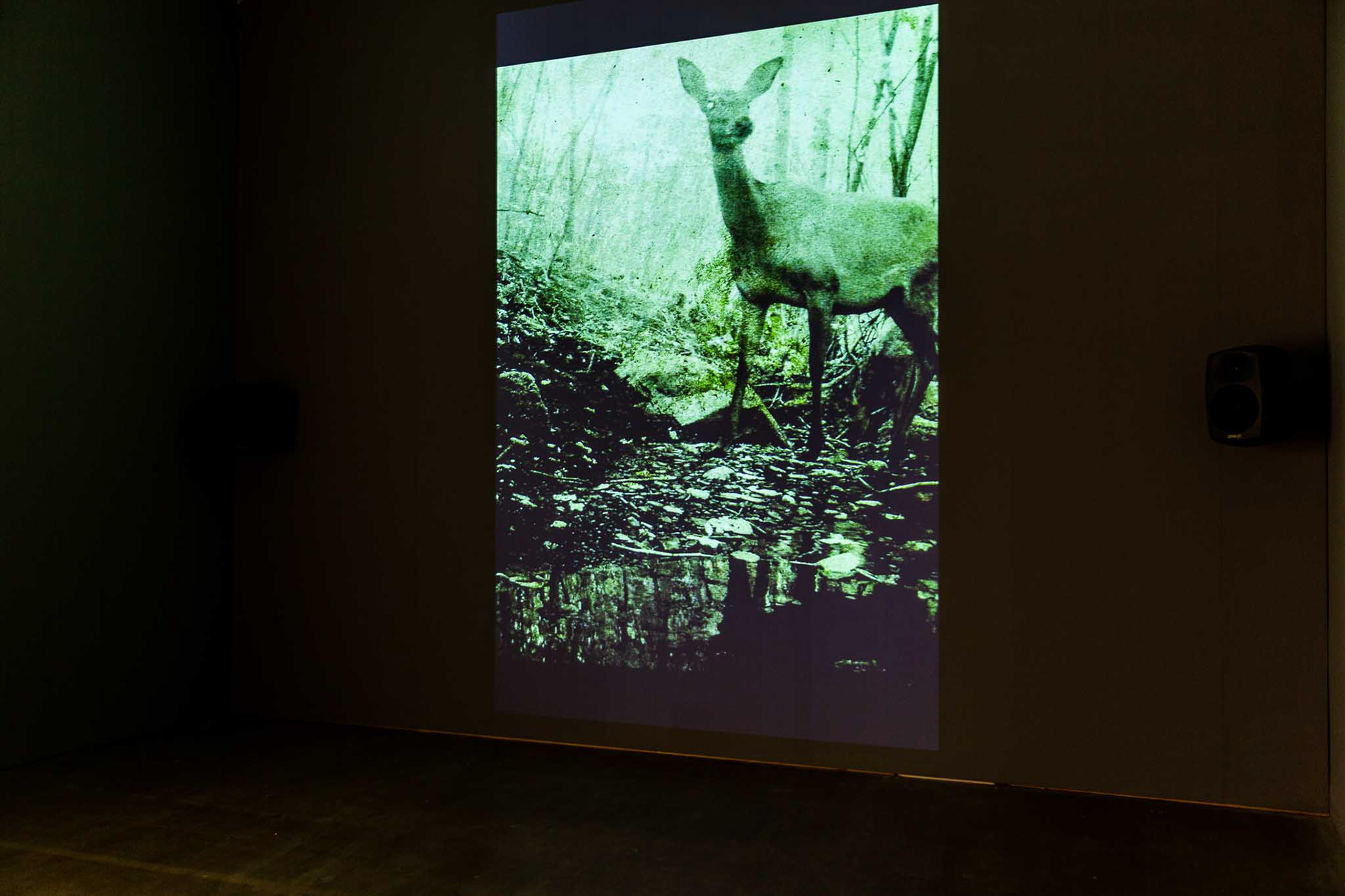 Image credit: Lisa Whiting Photography for Arnolfini, all rights reserved.