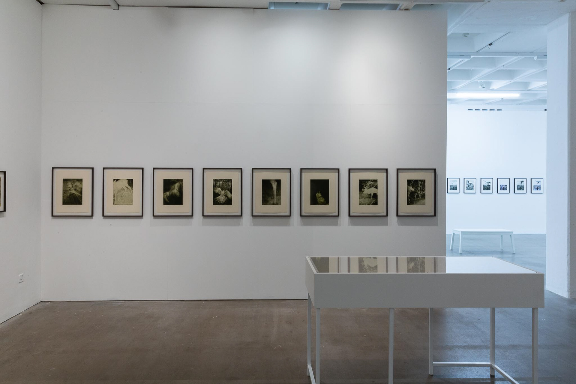 Image credit: Lisa Whiting Photography for Arnolfini, all rights reserved.