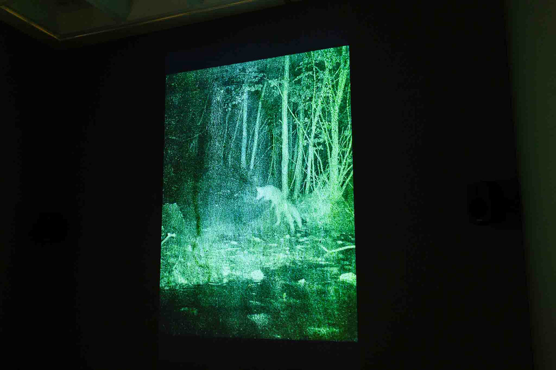 Image credit: Lisa Whiting Photography for Arnolfini, all rights reserved.