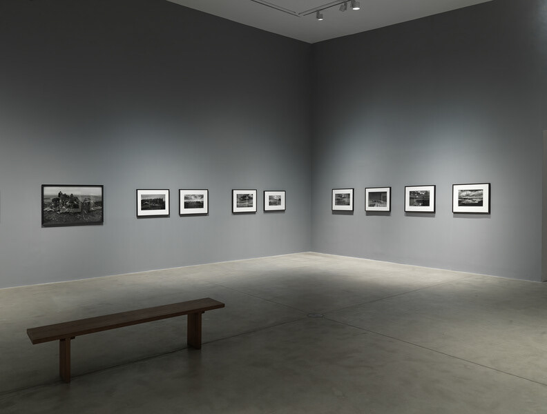 Image credit: Ken Adlard for Hauser & Wirth.