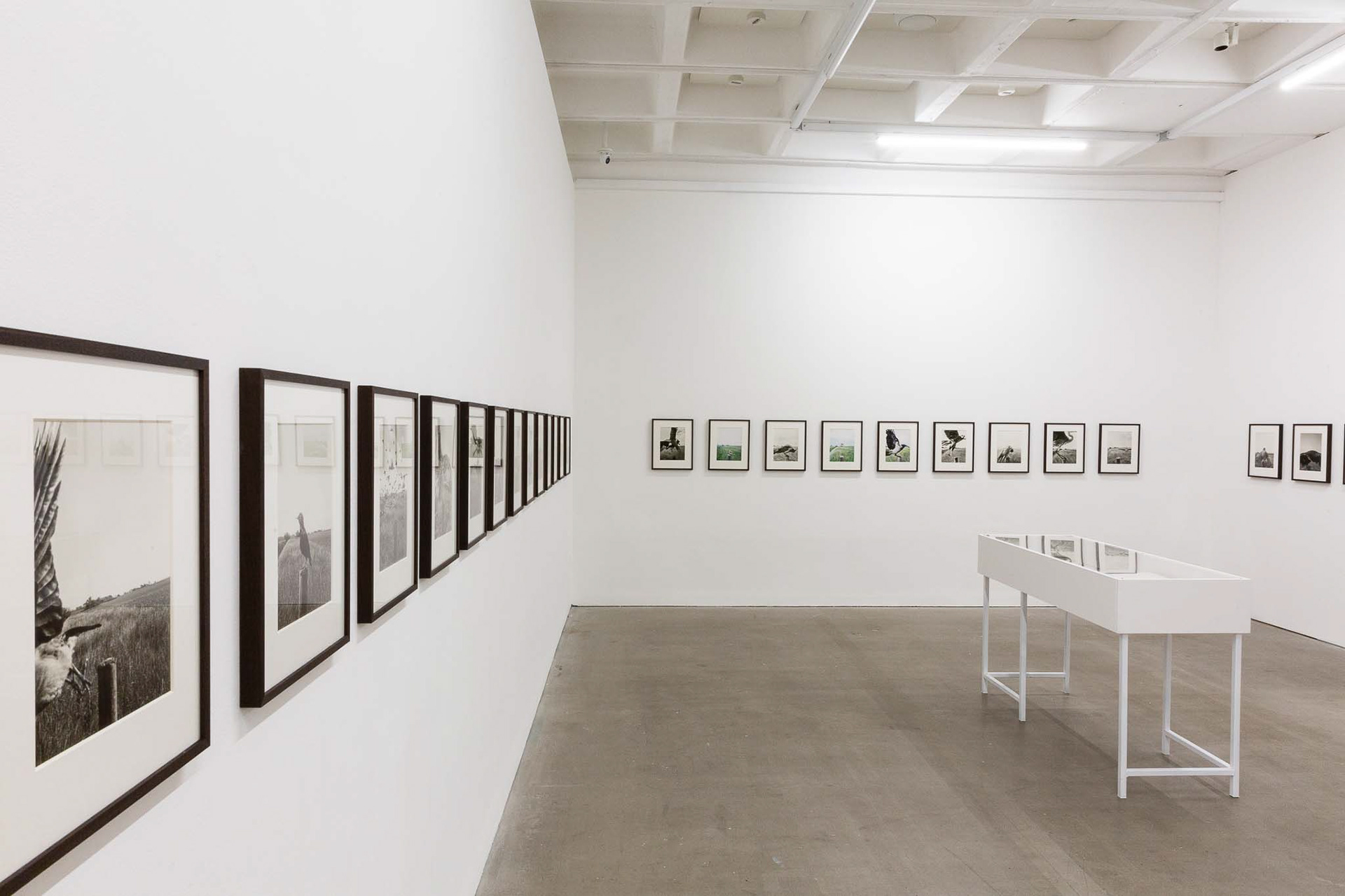 Image credit: Lisa Whiting Photography for Arnolfini, all rights reserved.
