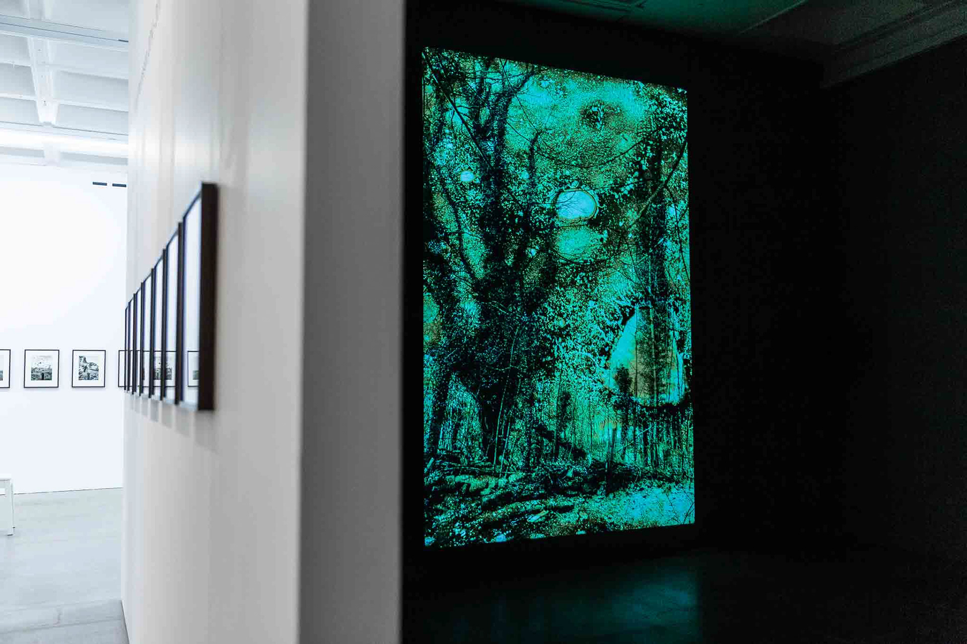Image credit: Lisa Whiting Photography for Arnolfini, all rights reserved.