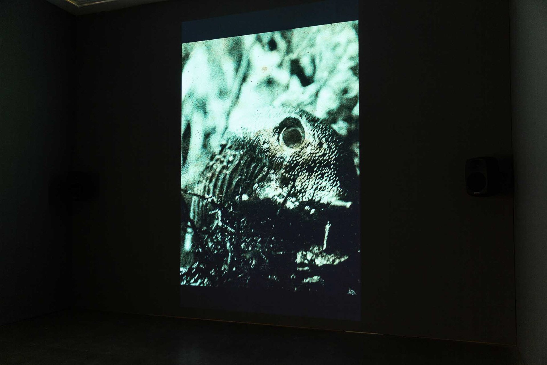 Image credit: Lisa Whiting Photography for Arnolfini, all rights reserved.