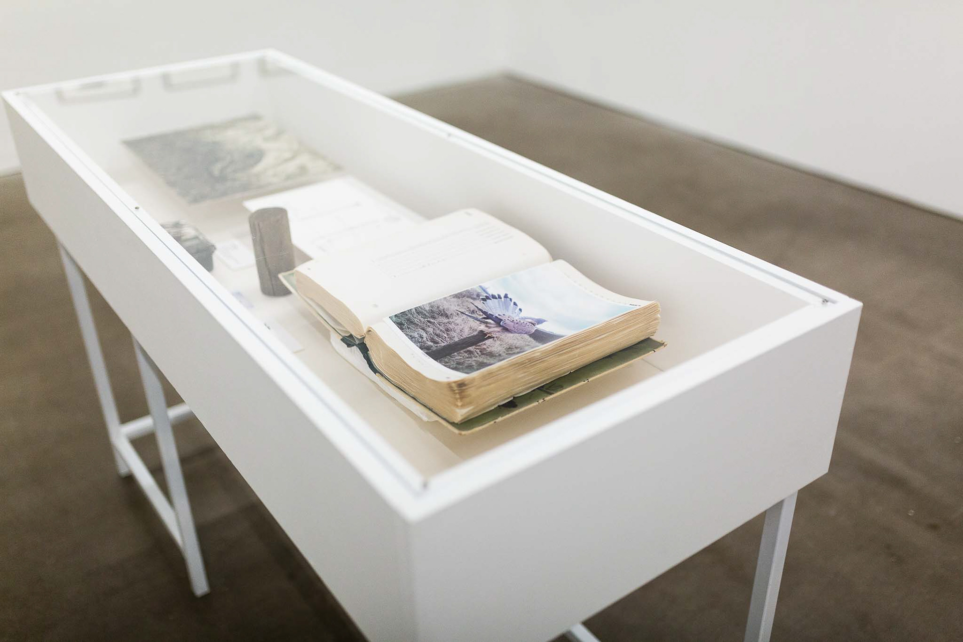 Image credit: Lisa Whiting Photography for Arnolfini, all rights reserved.