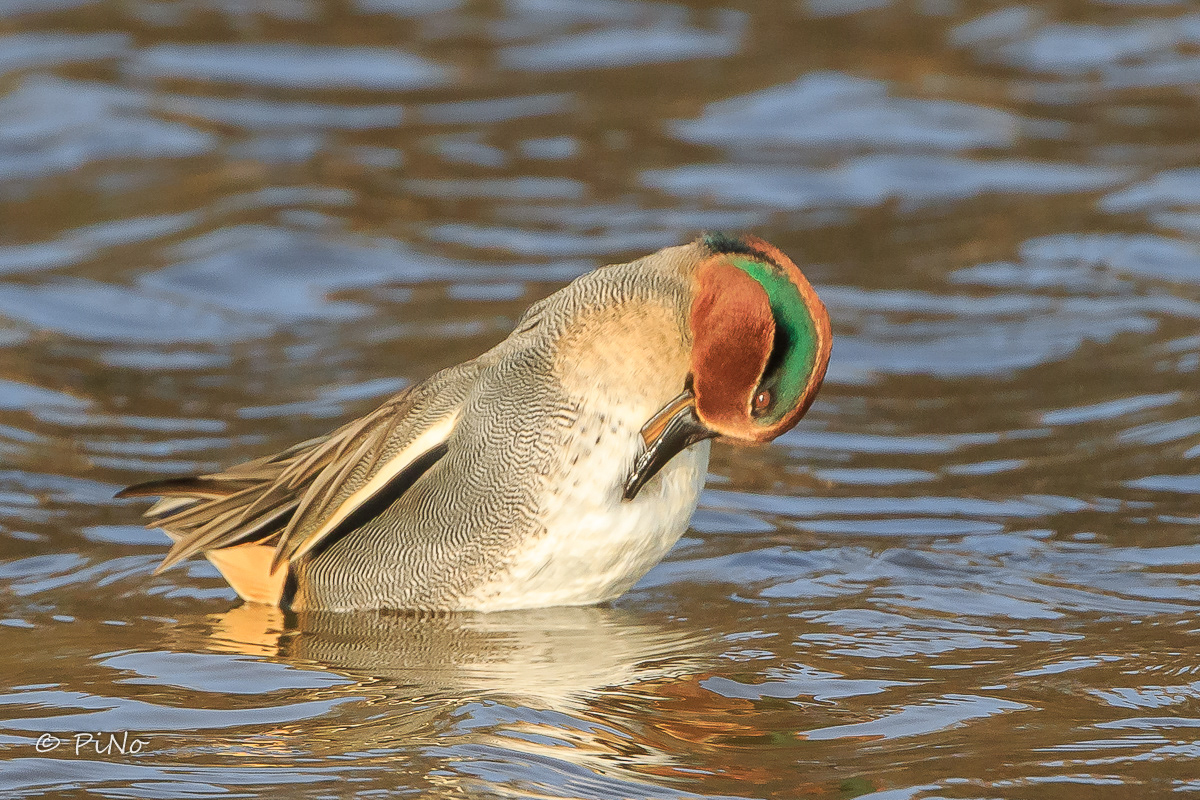 Wintertaling