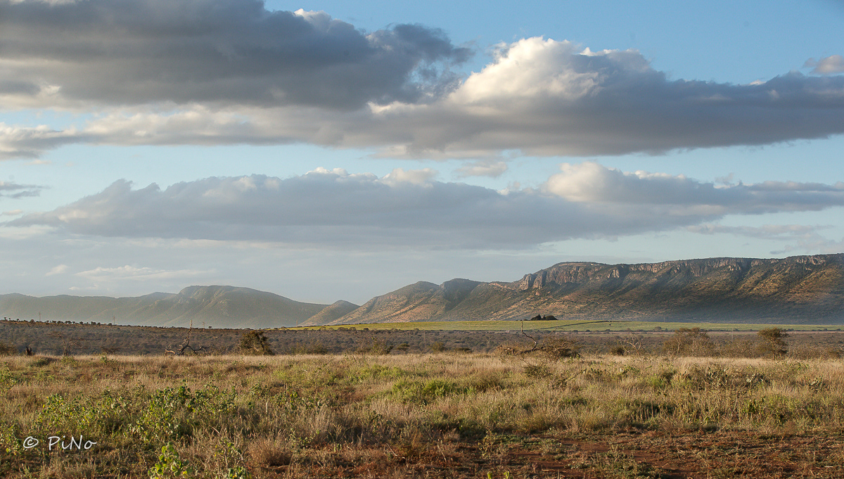 Zuid Afrika