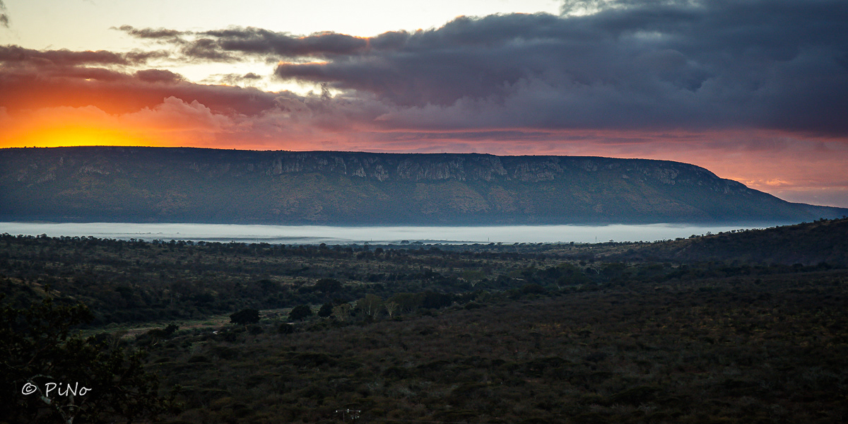 Zuid Afrika