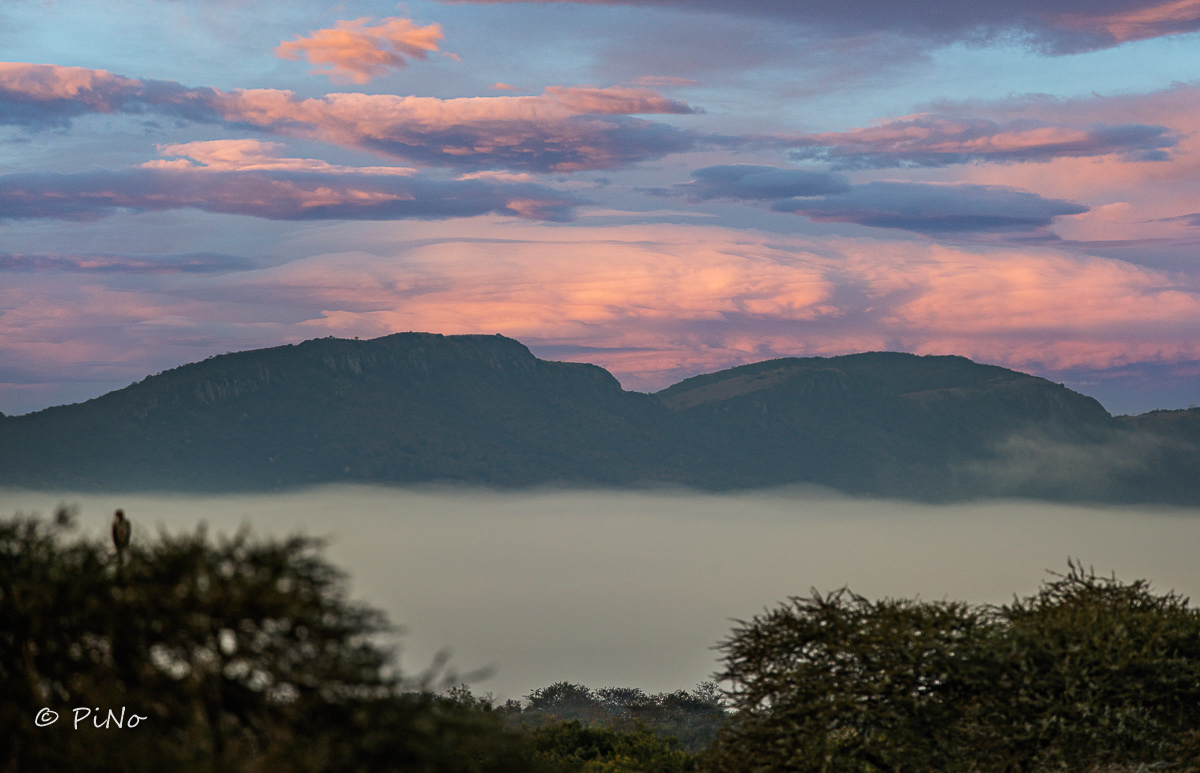 Zuid Afrika