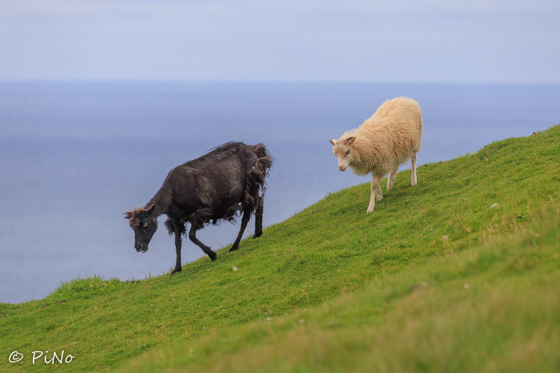 Mykines