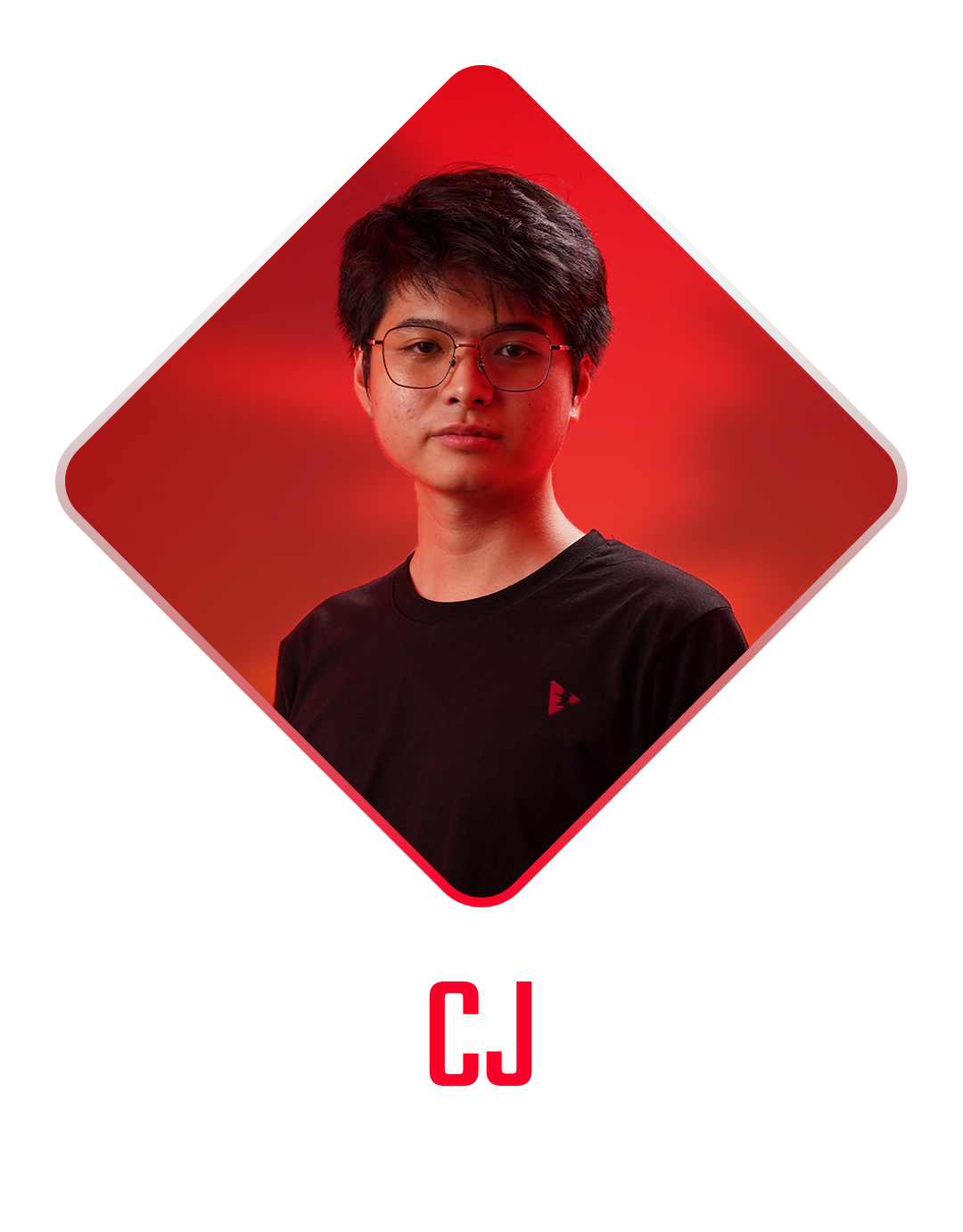 CGI, 3D & VFX Artist