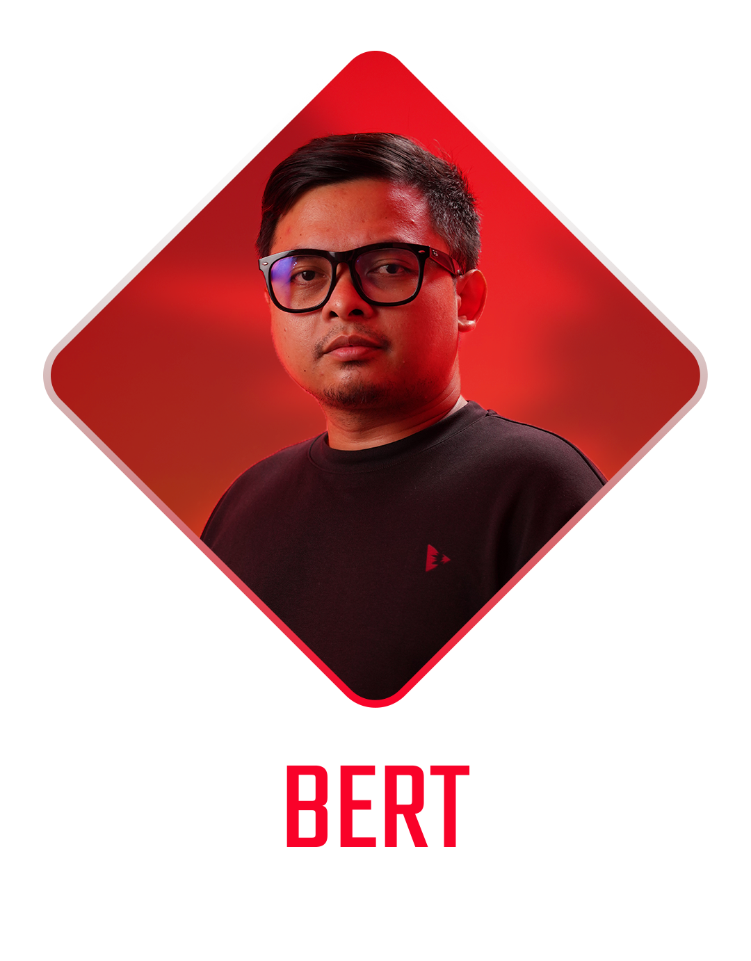 Director, Producer, Editor, Compositor