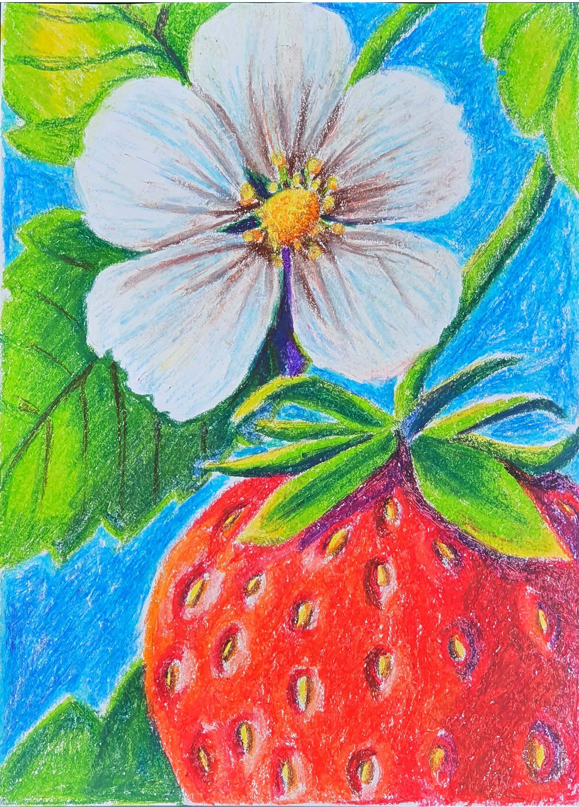 Morango em flor