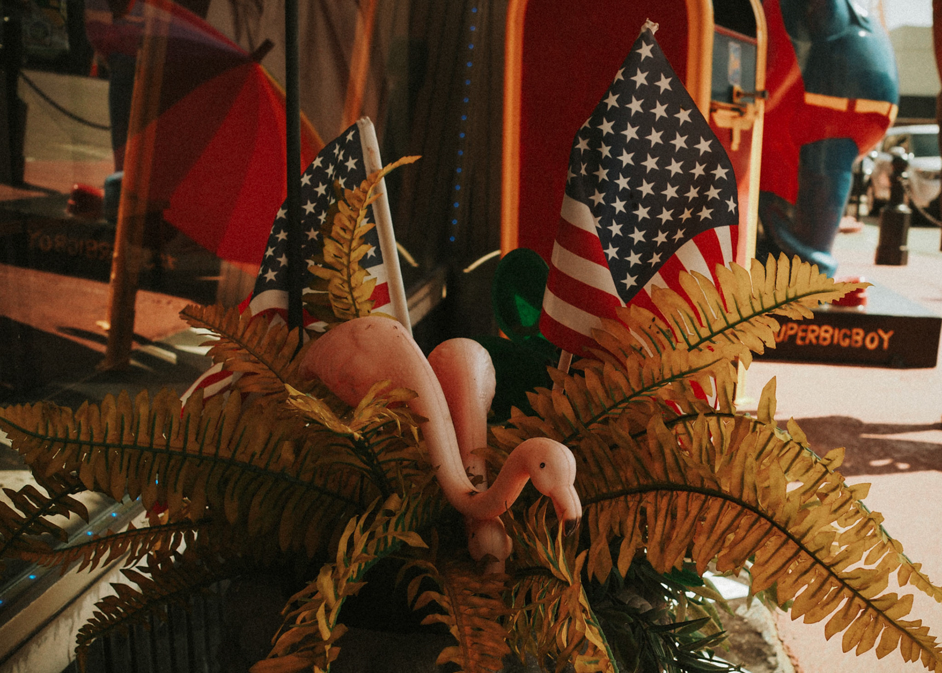 OLYMPUS DIGITAL CAMERA