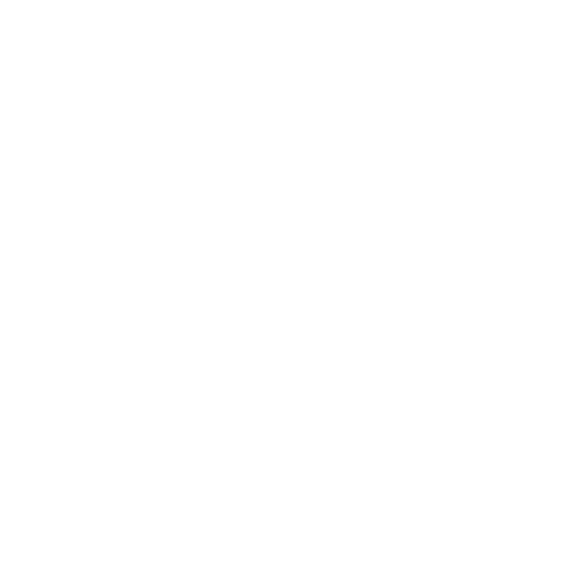 Flynn Studios