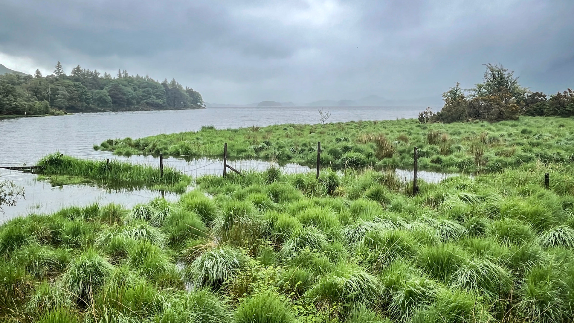 Looking back (Derwentwater, May 2024)