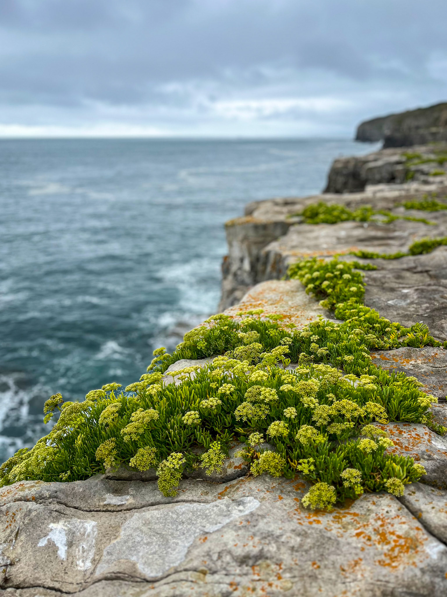 Moody clifftop