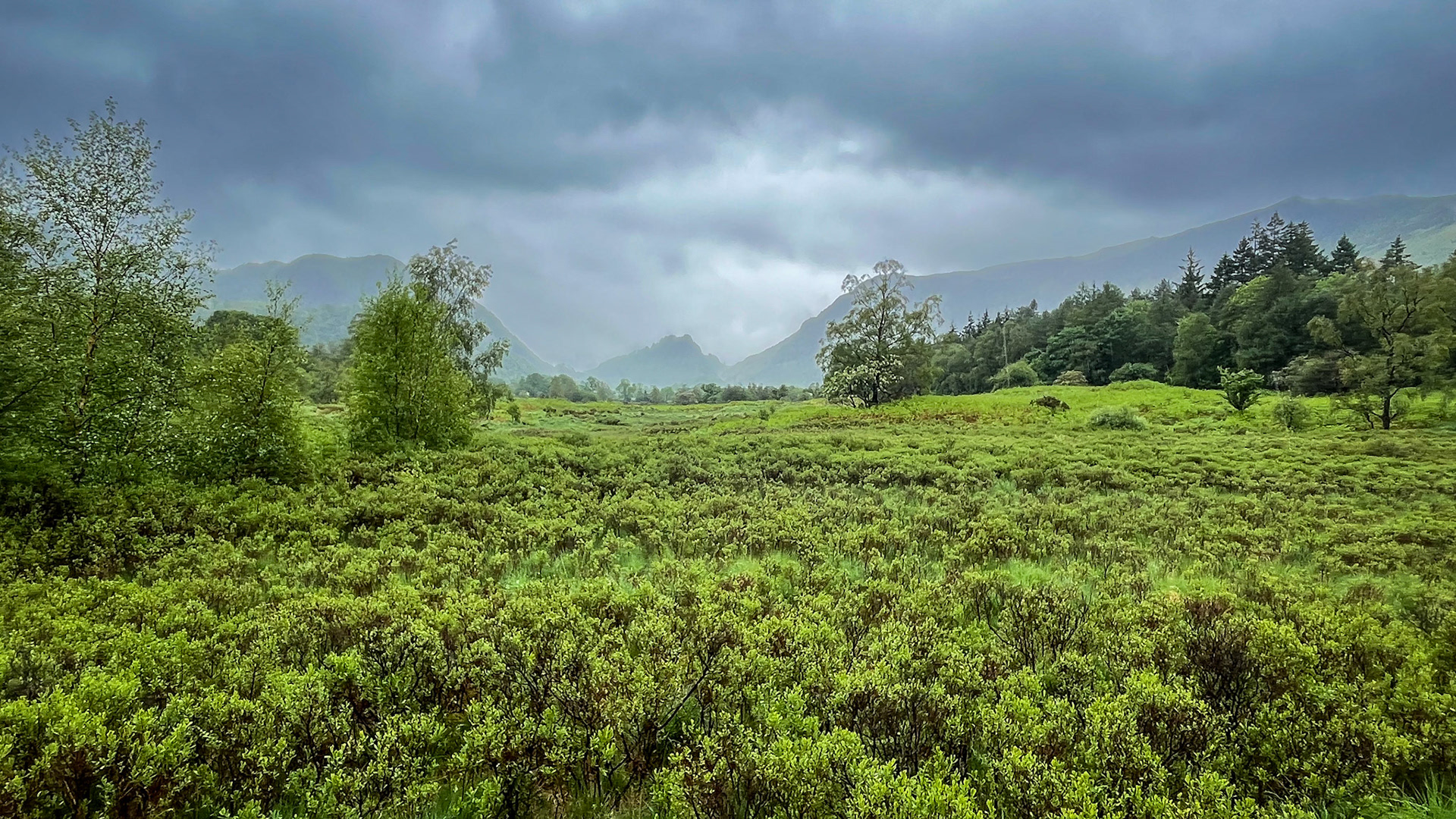 Towards Borrowdale (Derwentwater, May 2024)
