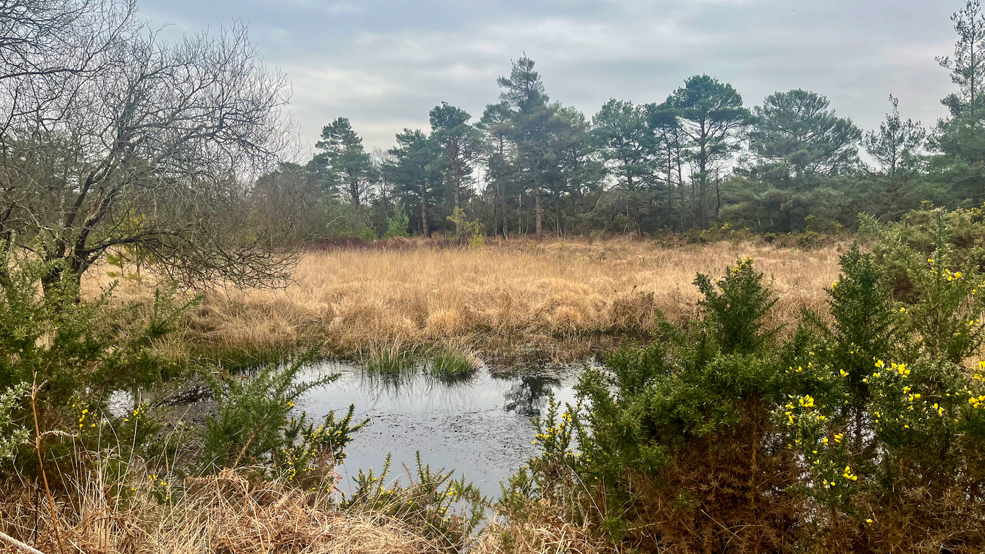 Lunch spot at Arne on a winter's day