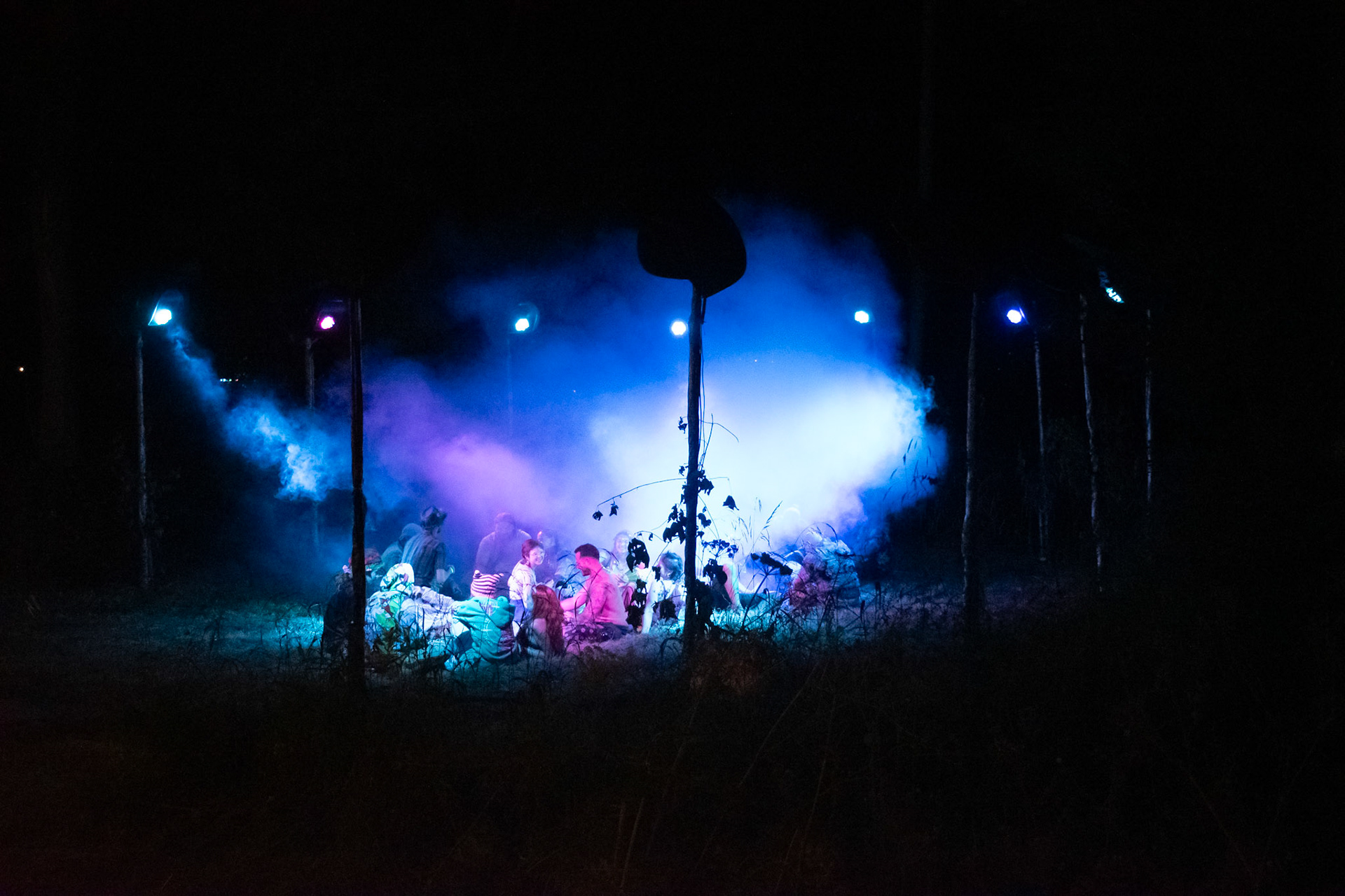 The enchanted forest (Noisily Festival, July 2023)