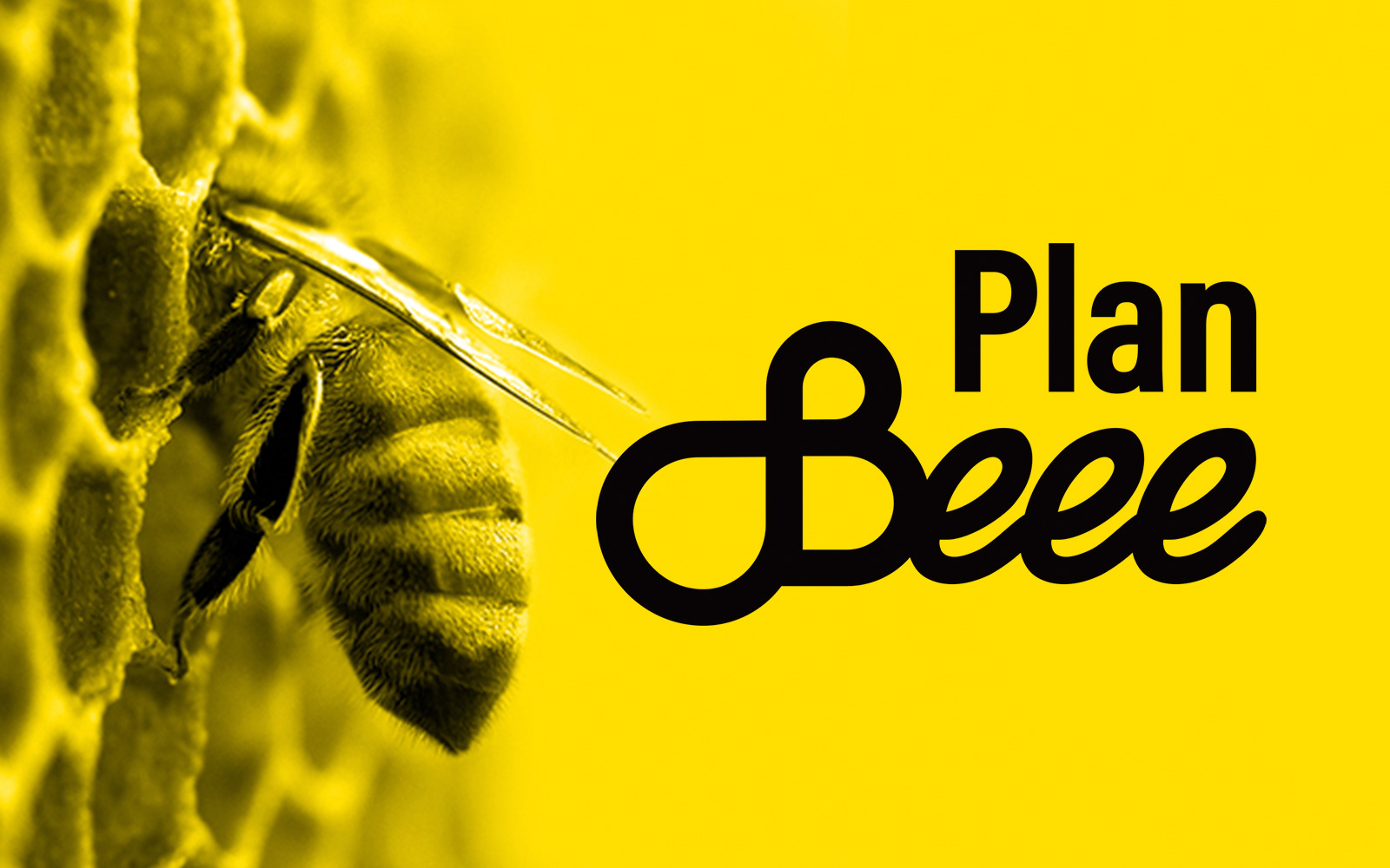 Team: Plan Beee