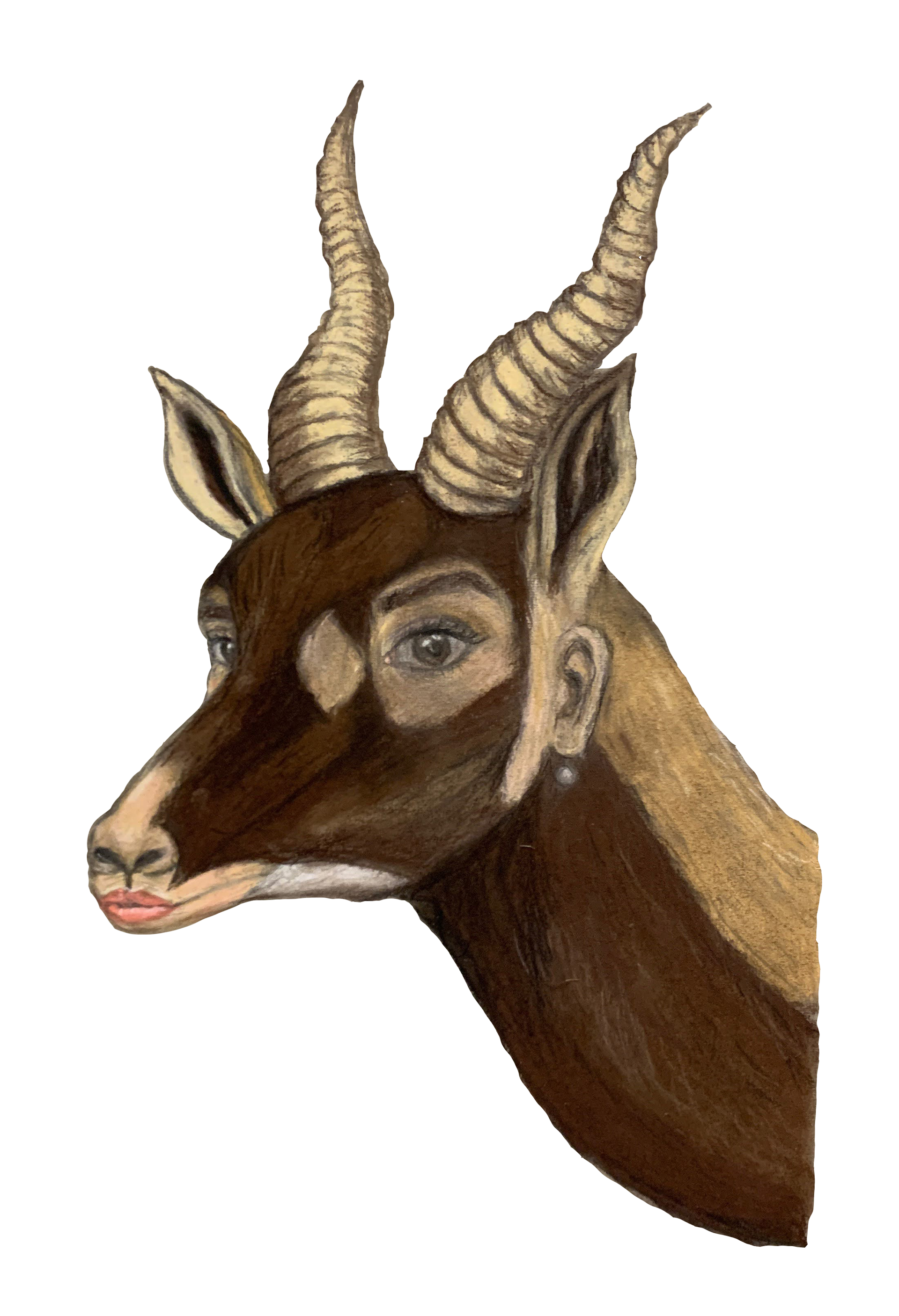 Animorph Pastel
