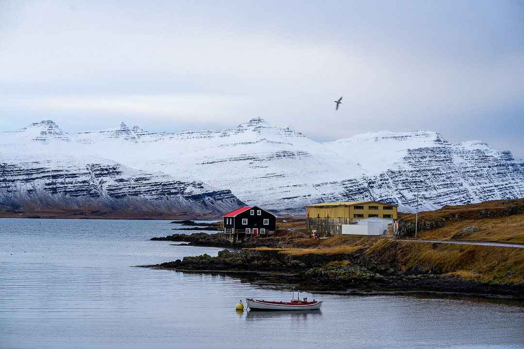 Djúpivogur