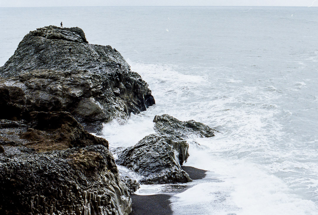 South coast, 2015