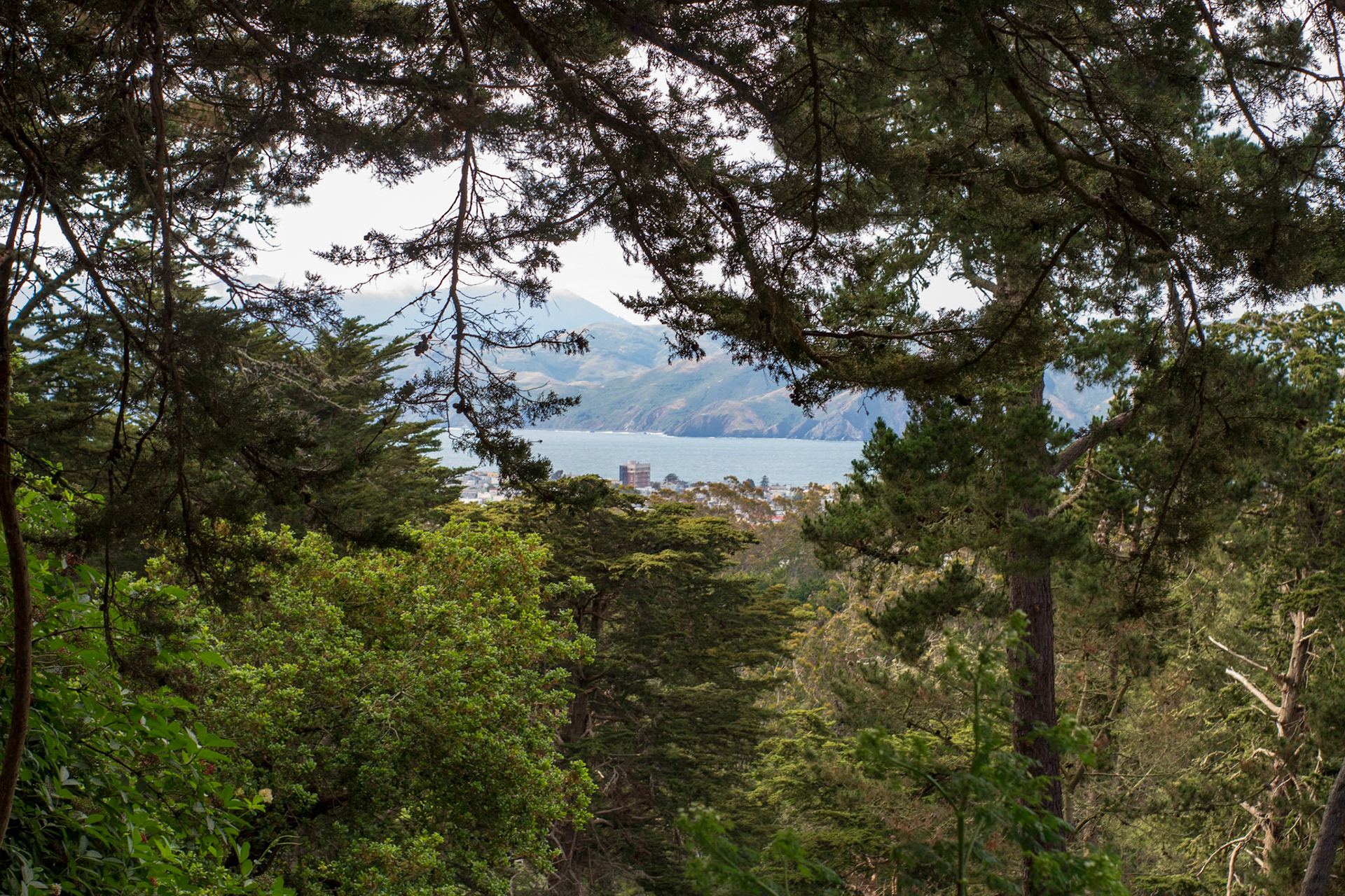 View of the water from Strawberry Hill