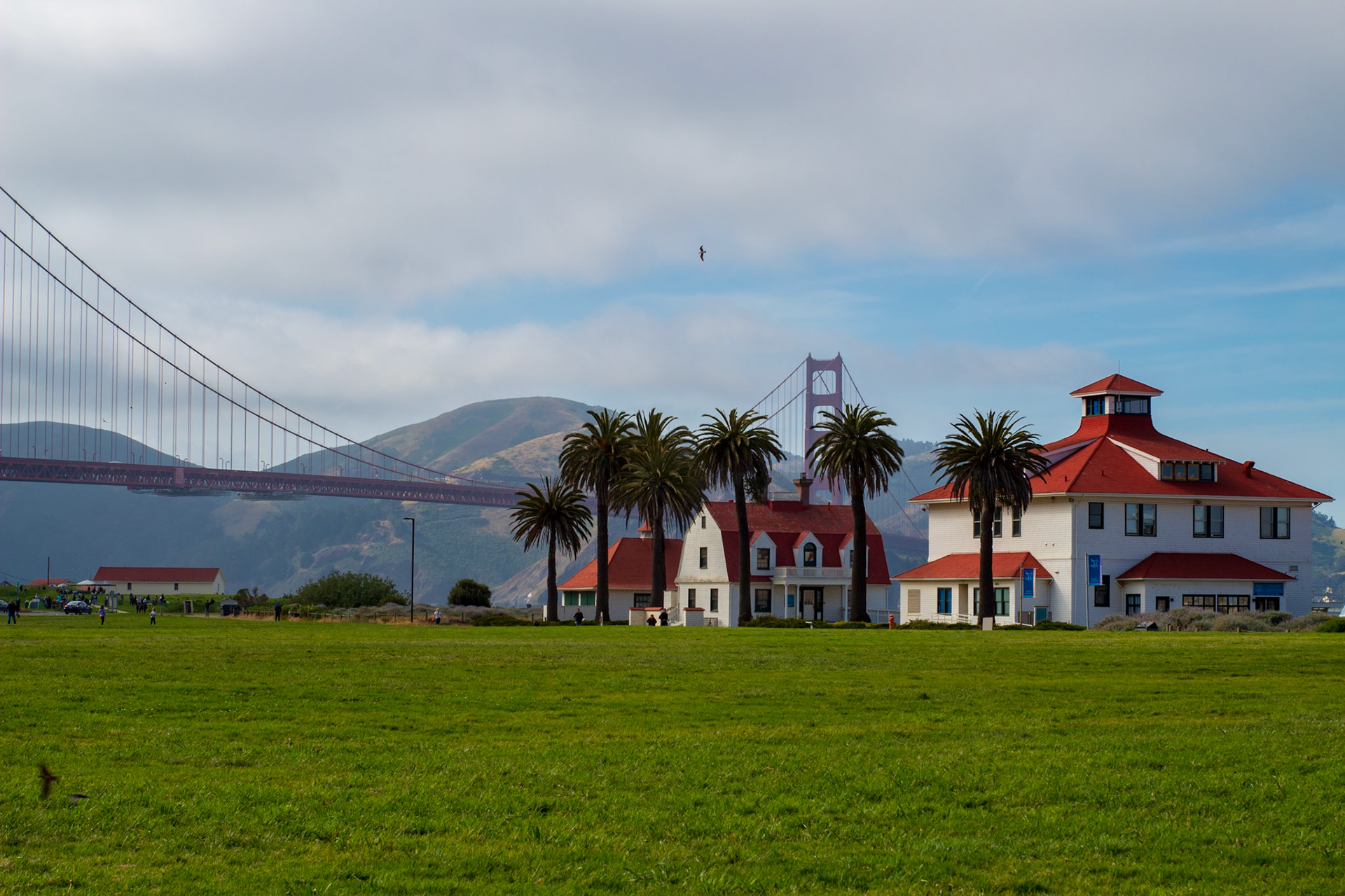 Birds at Golden Gate