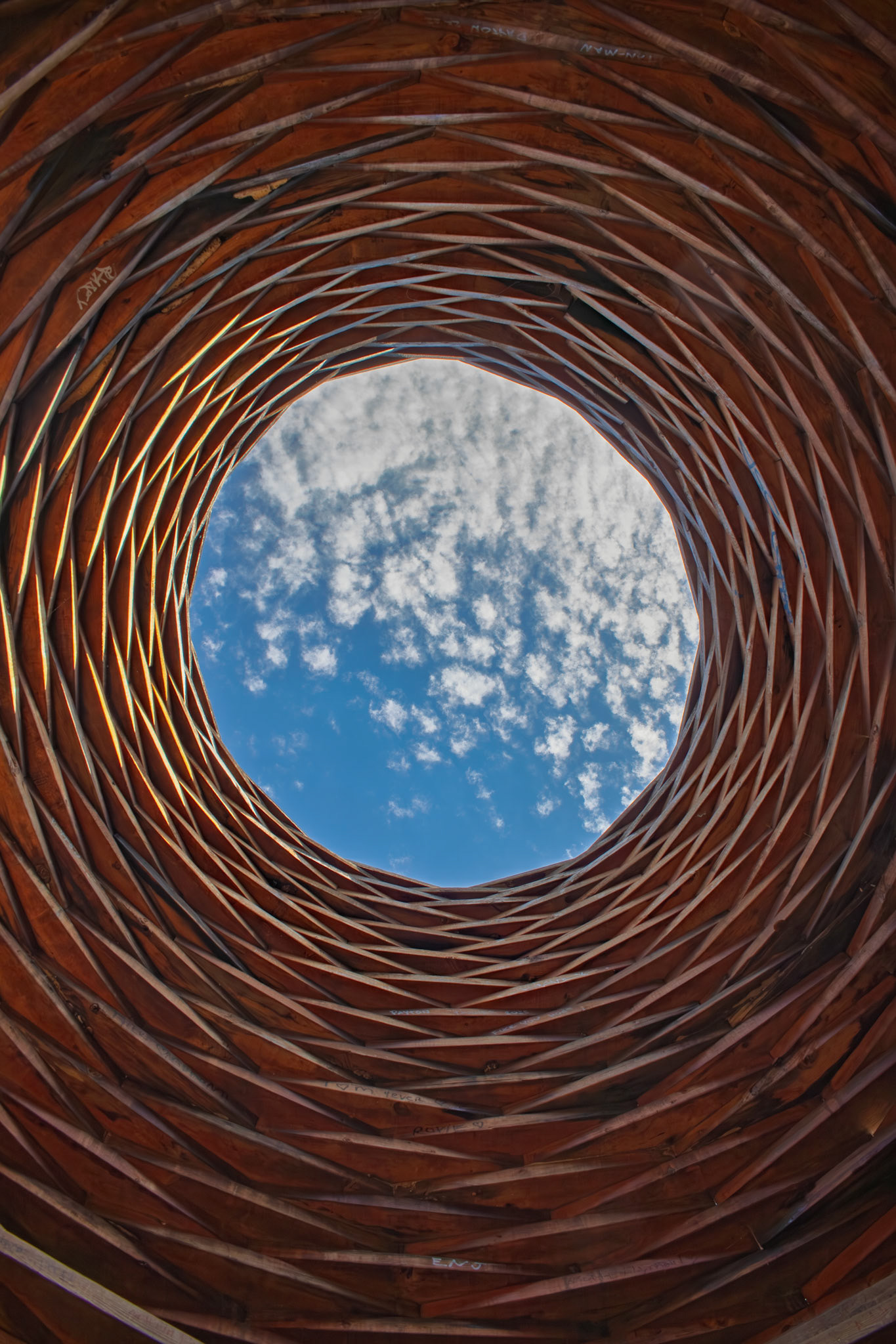 Vascular Form (Vertical Orientation) from the inside at Franconia Sculpture Park