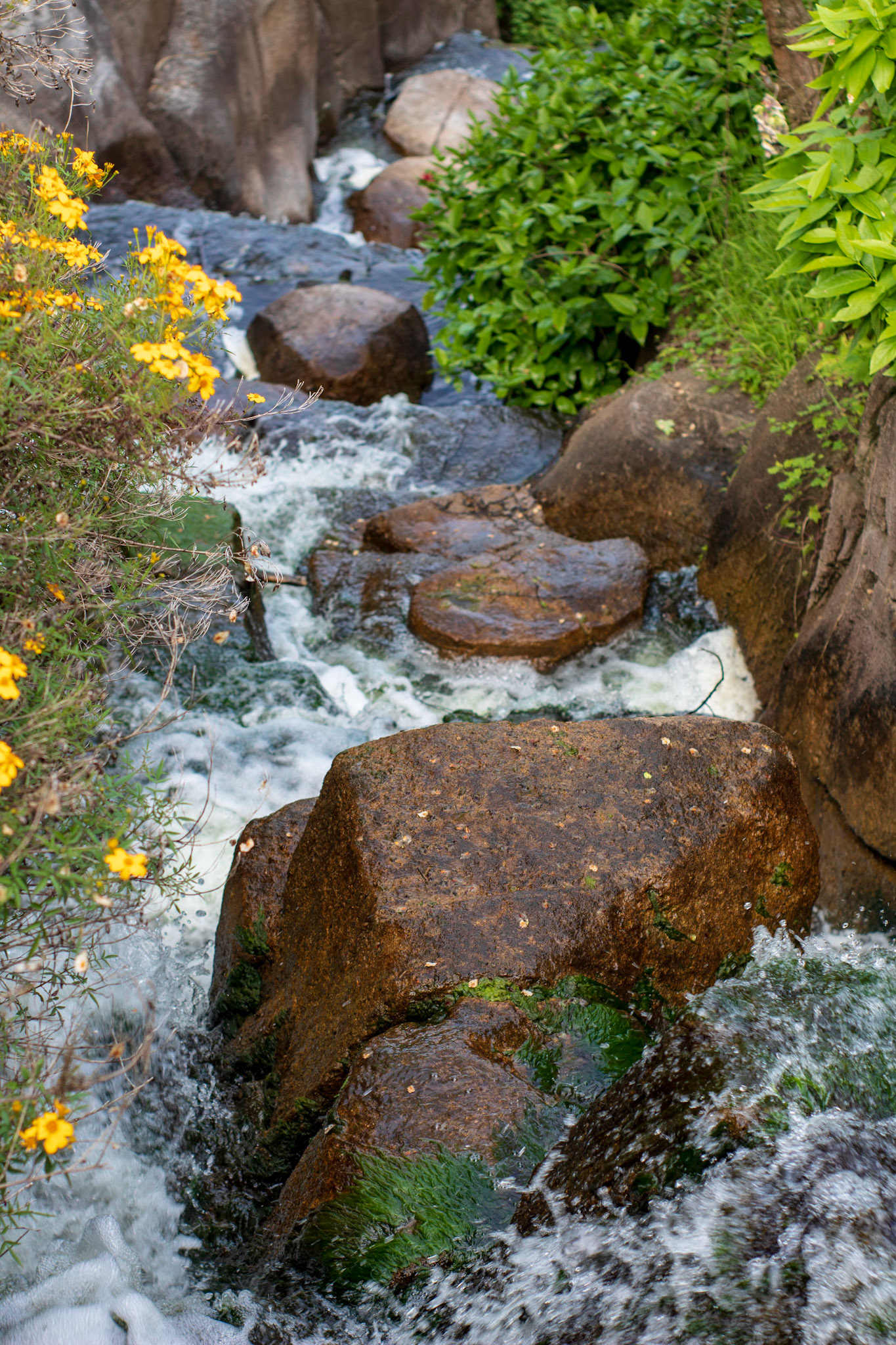 Waterfall near Strawberry Hill