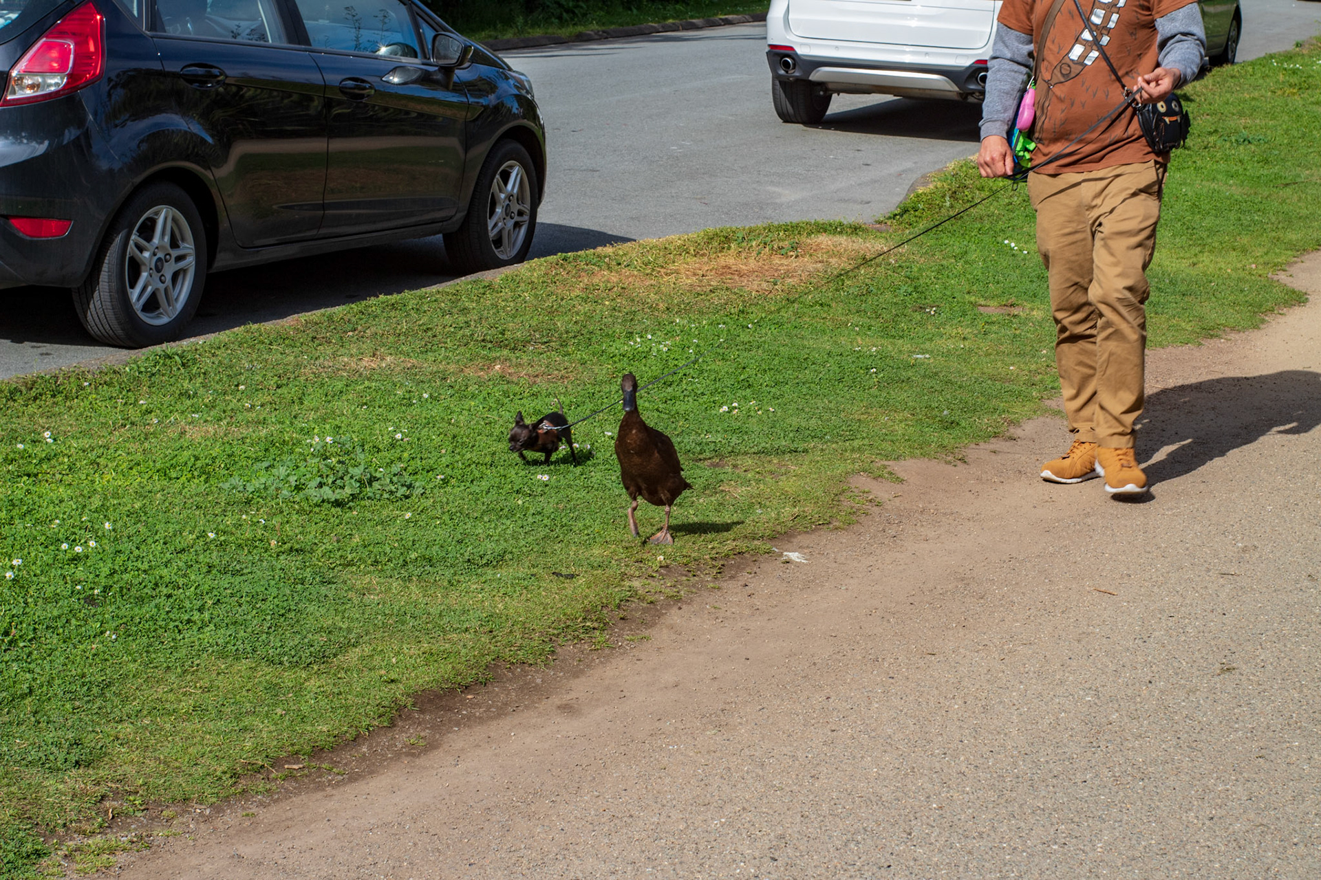 Blurry because I was walking backwards