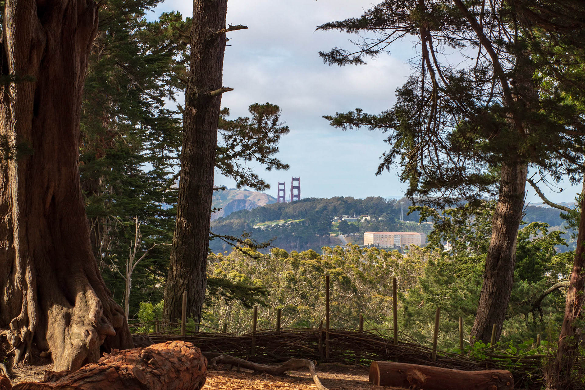 Golden Gate Bridge from Strawberry Hill