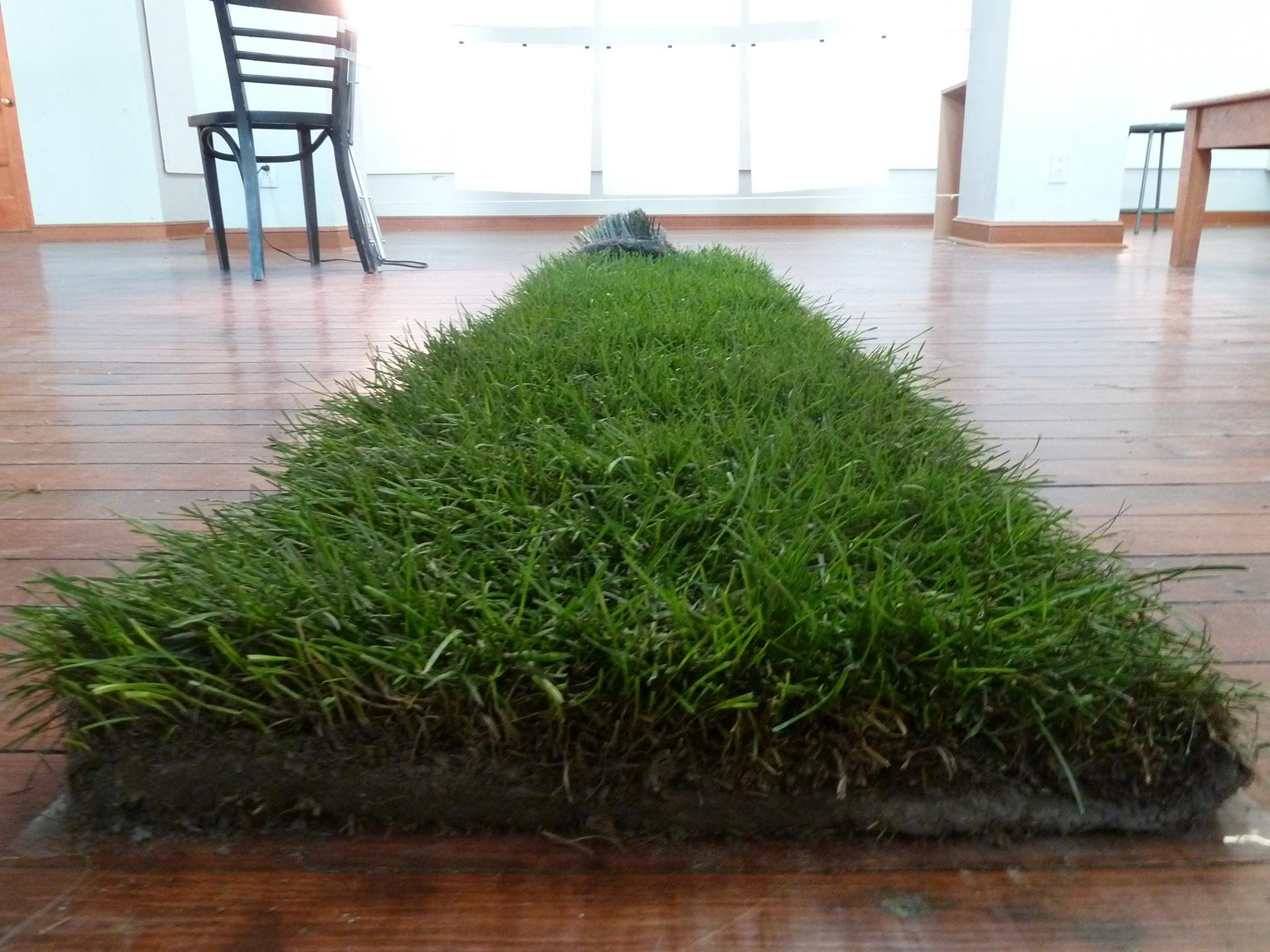 Ties (2011) | McGill University