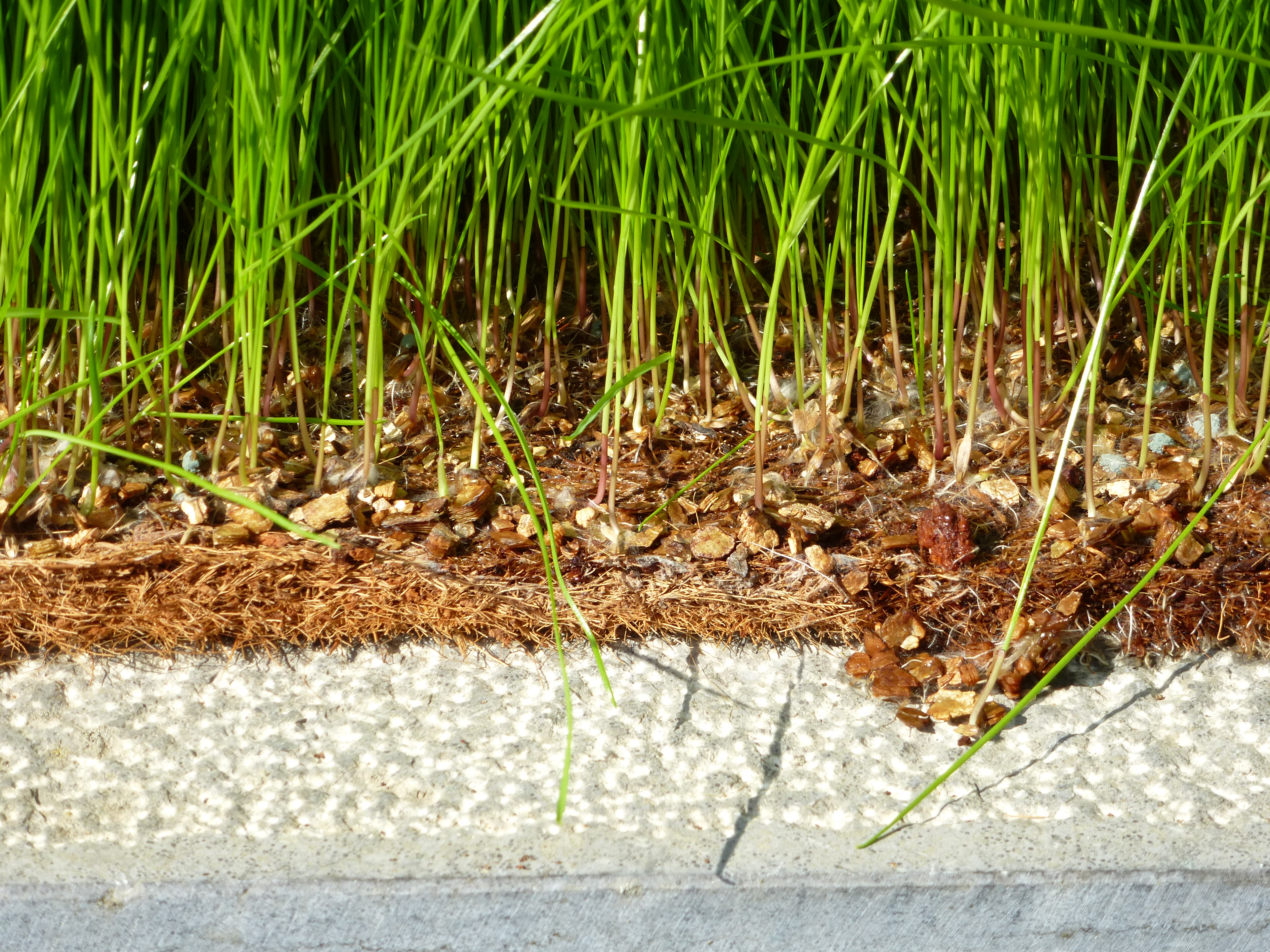 Think/green or cutting plants with Neutra II | Exhibition design & prototype by ©N. Kerschen (LU, BE, 2012)