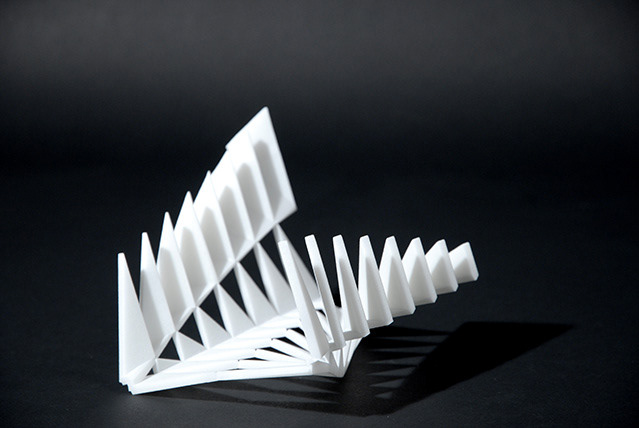 "Hitchcock's Birds" | ENSAPM & Gehry Technologies (2010) | Team: Omar Nacer