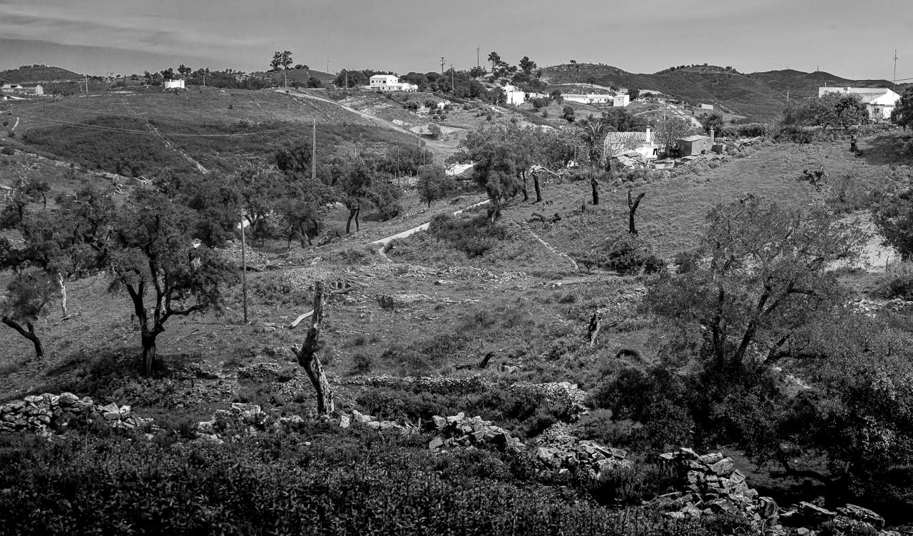 Javali, Portugal