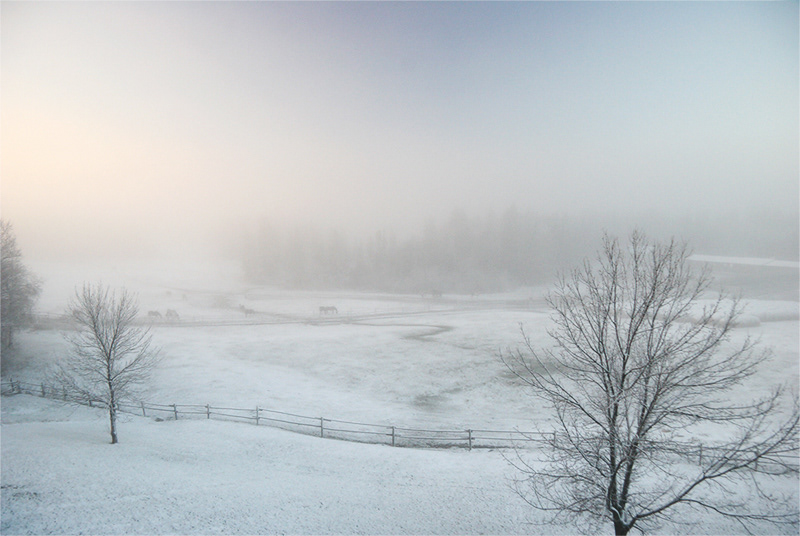 Riding Mountain Park, Canada   