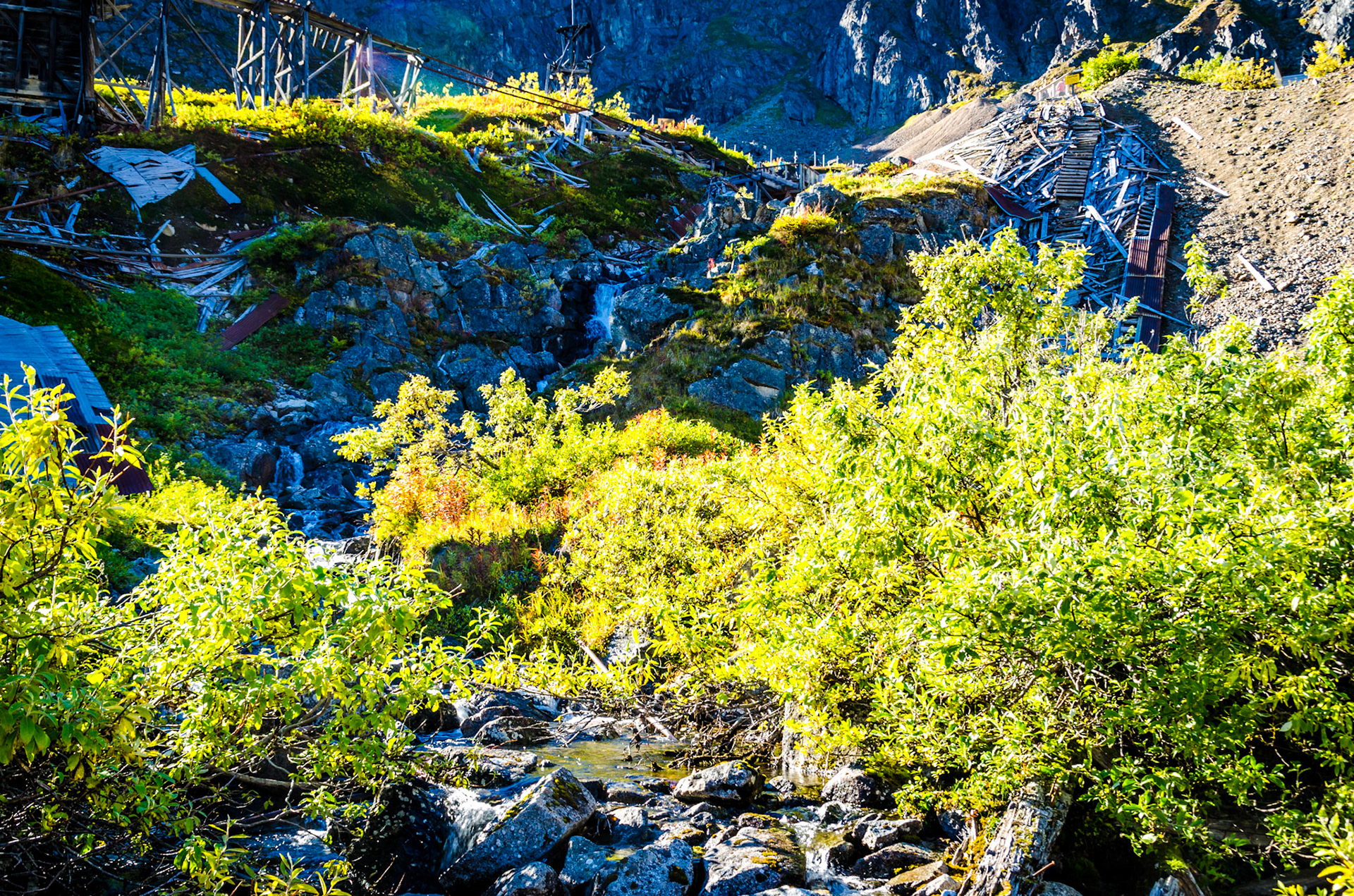 Independence Mine