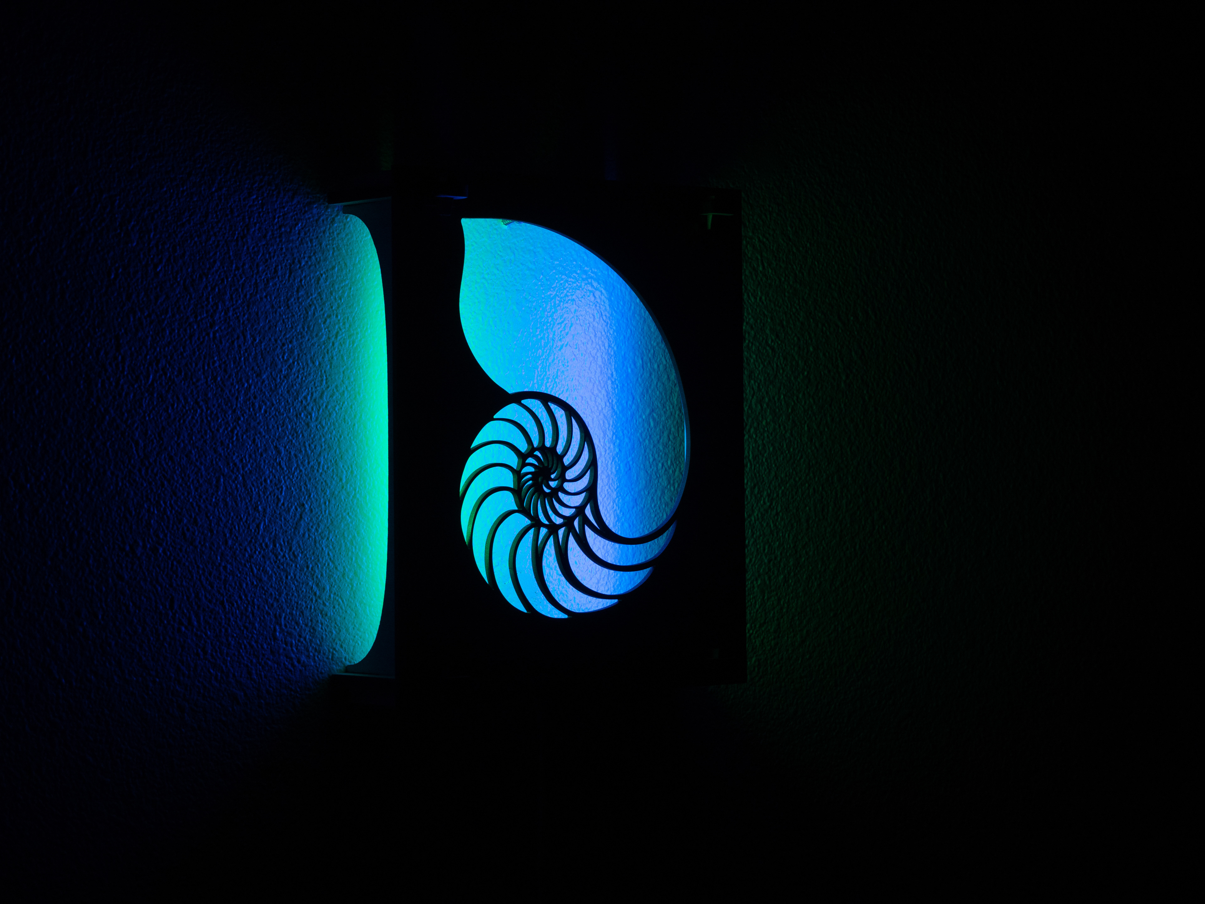Nautilus