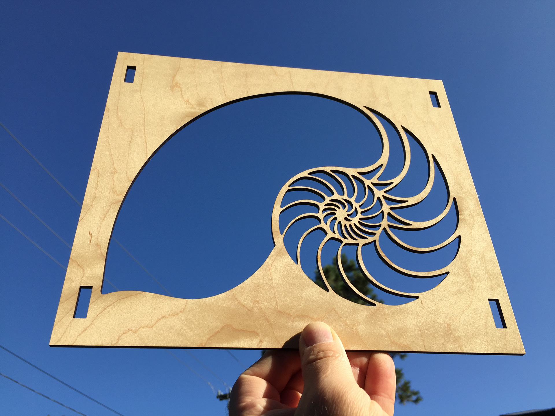 Nautilus Lightsculpture front
