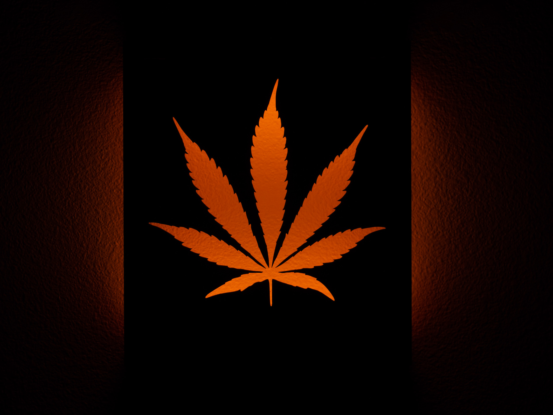 Cannabis