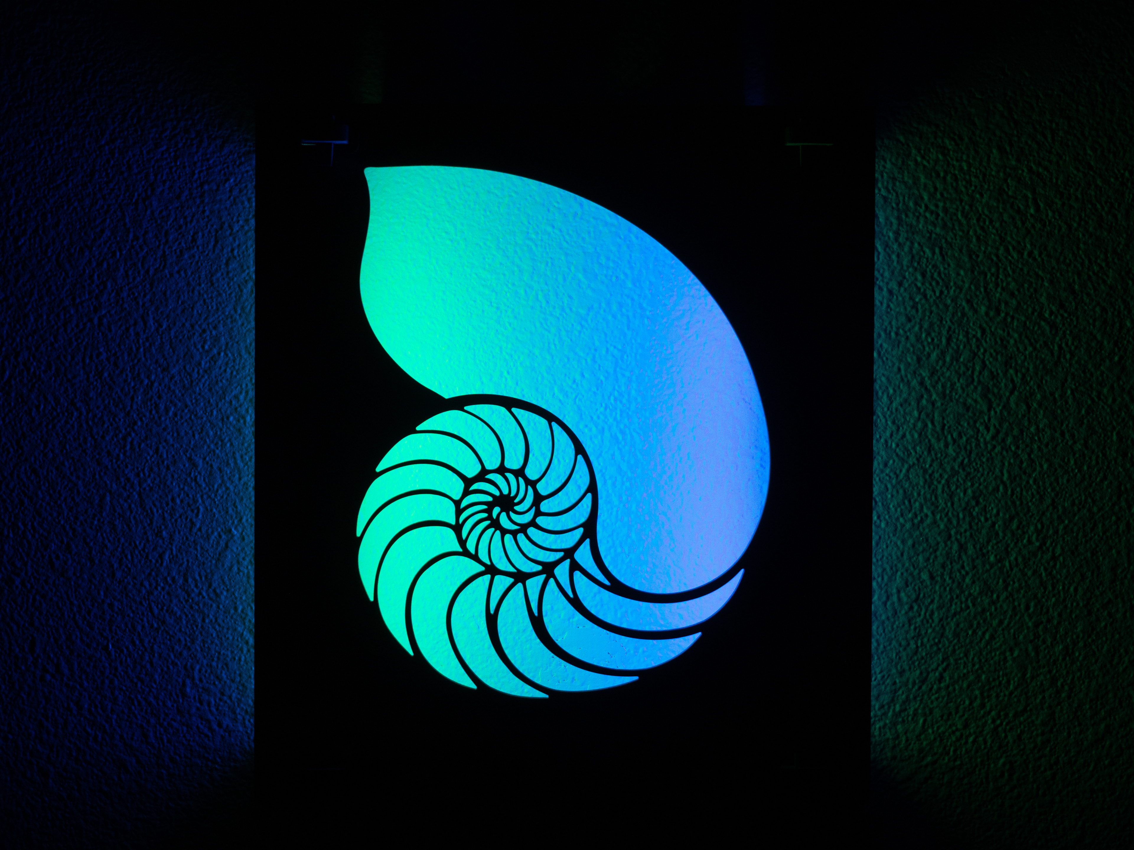 Nautilus