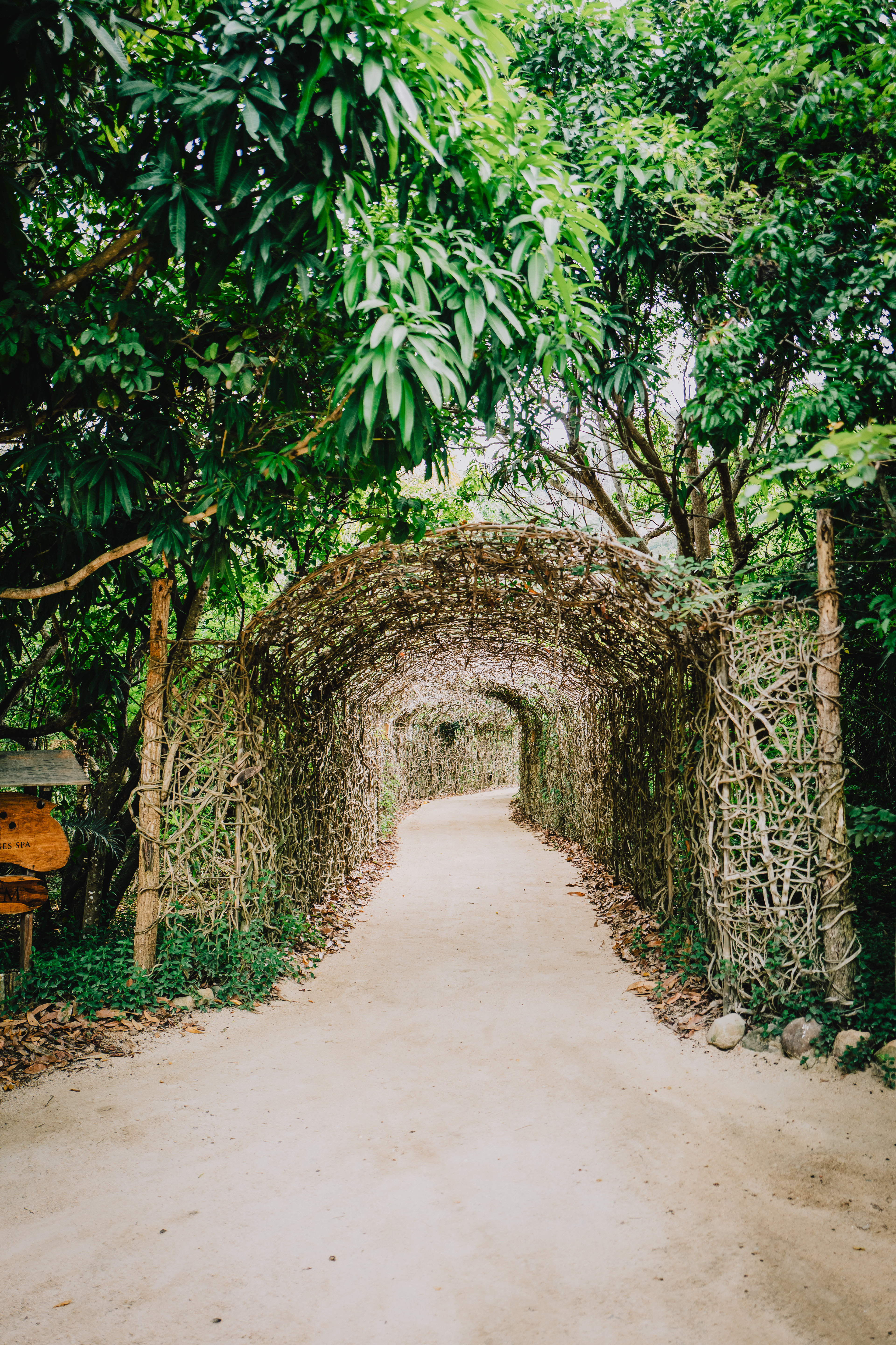 Tunnel through the forest
