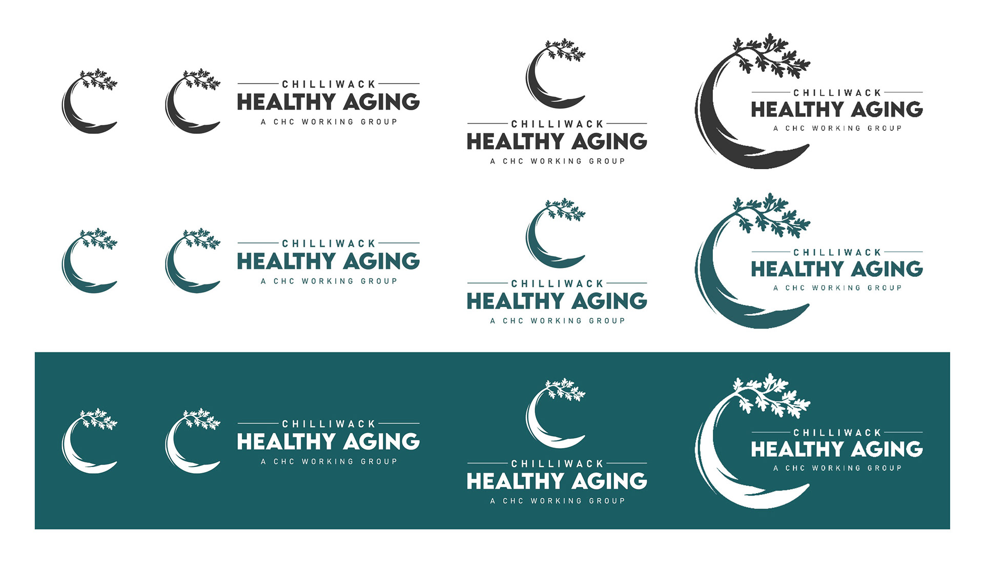 Chilliwack Healthier Community logo variation guide, created by Jorda Thomas.
