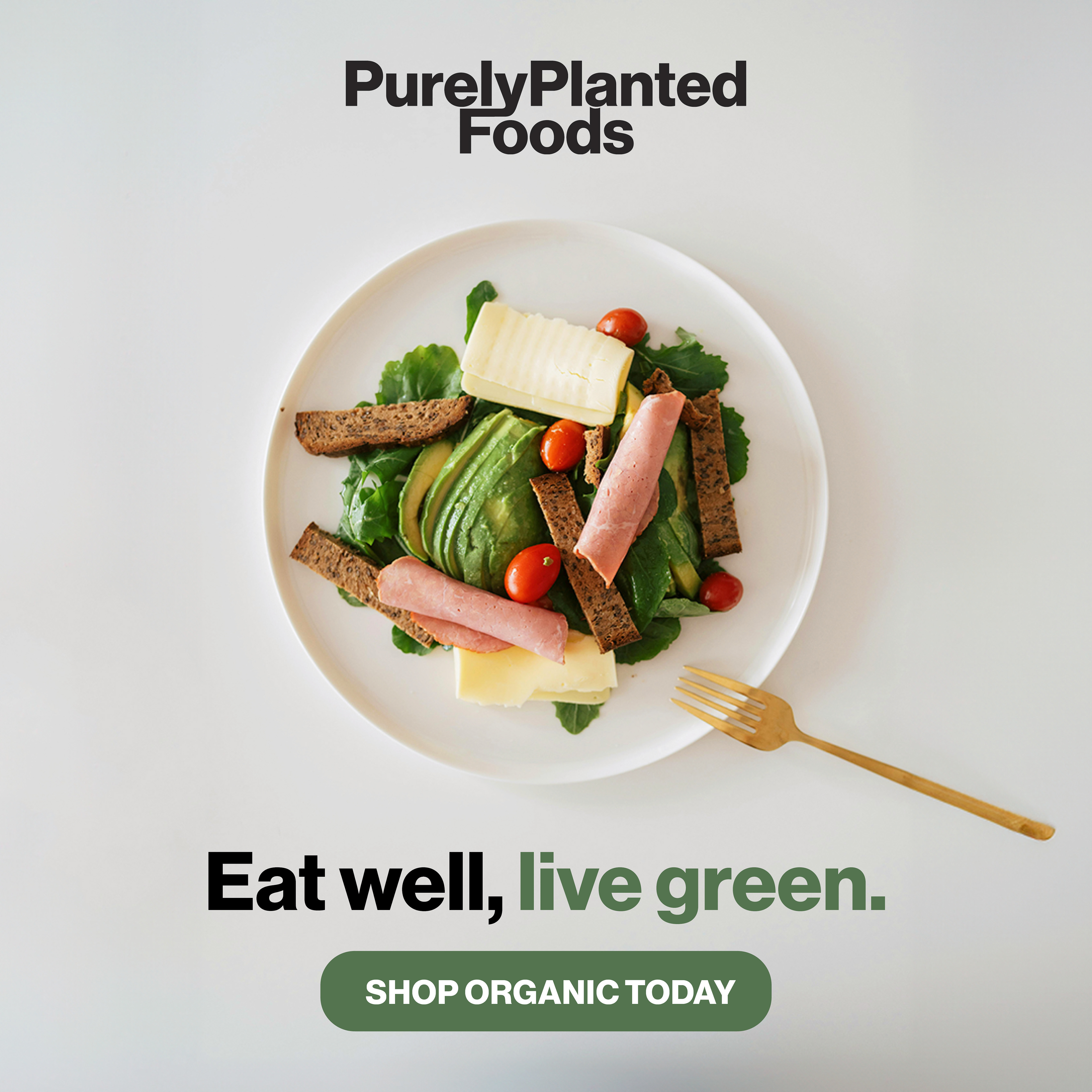 PurelyPlanted Foods Digital Ad (A)