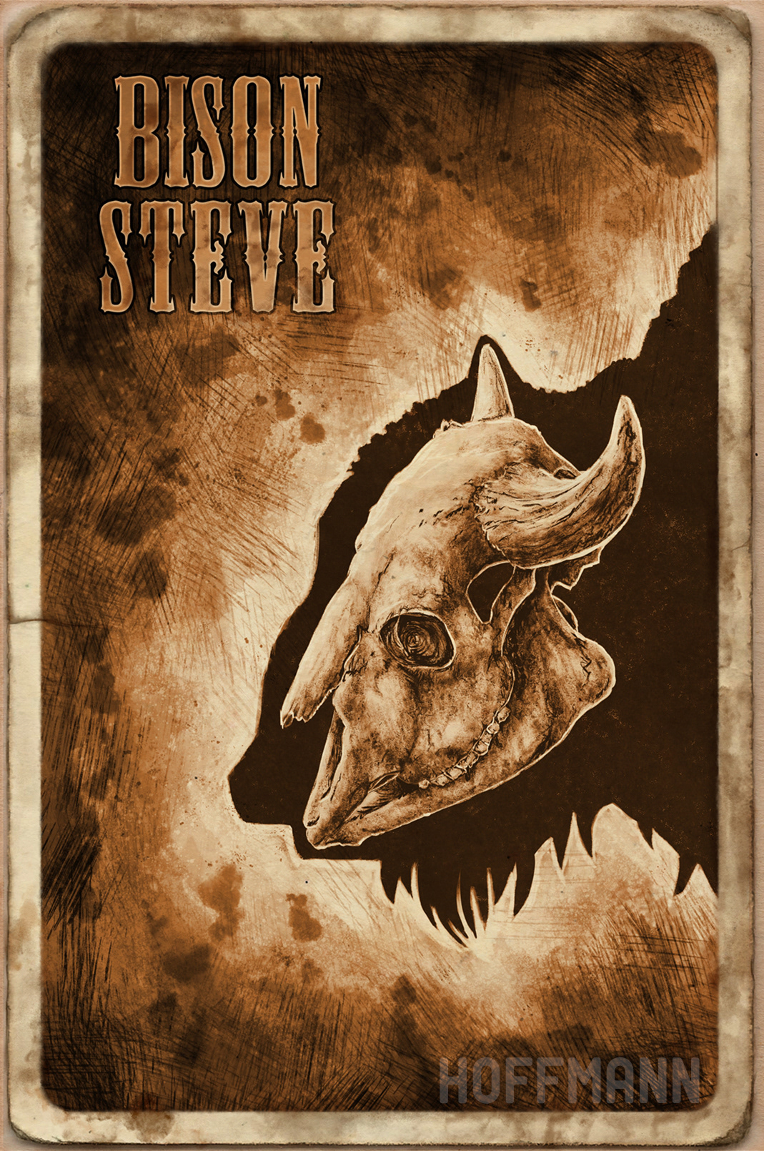 Bison Steve