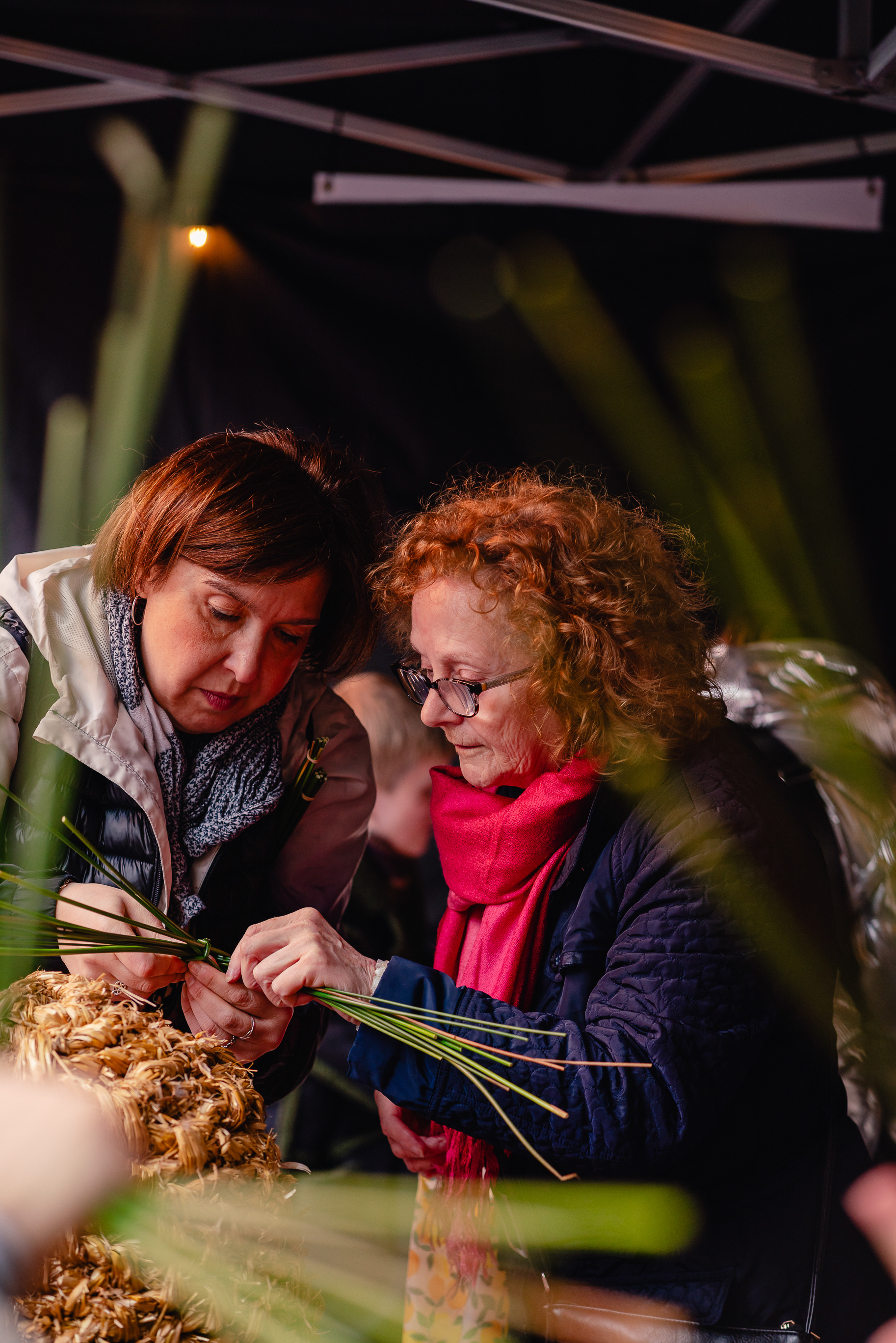  Brigit: Dublin City Celebrating Women 2024