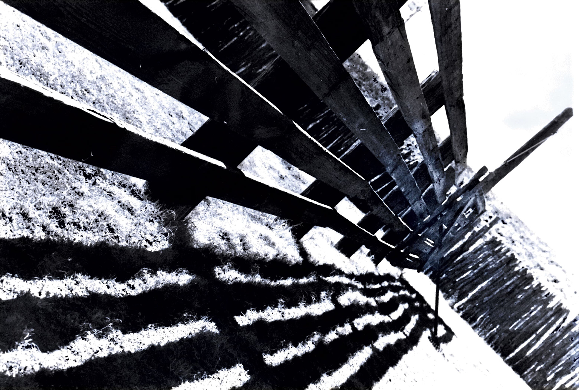 National Ranching Heritage Center