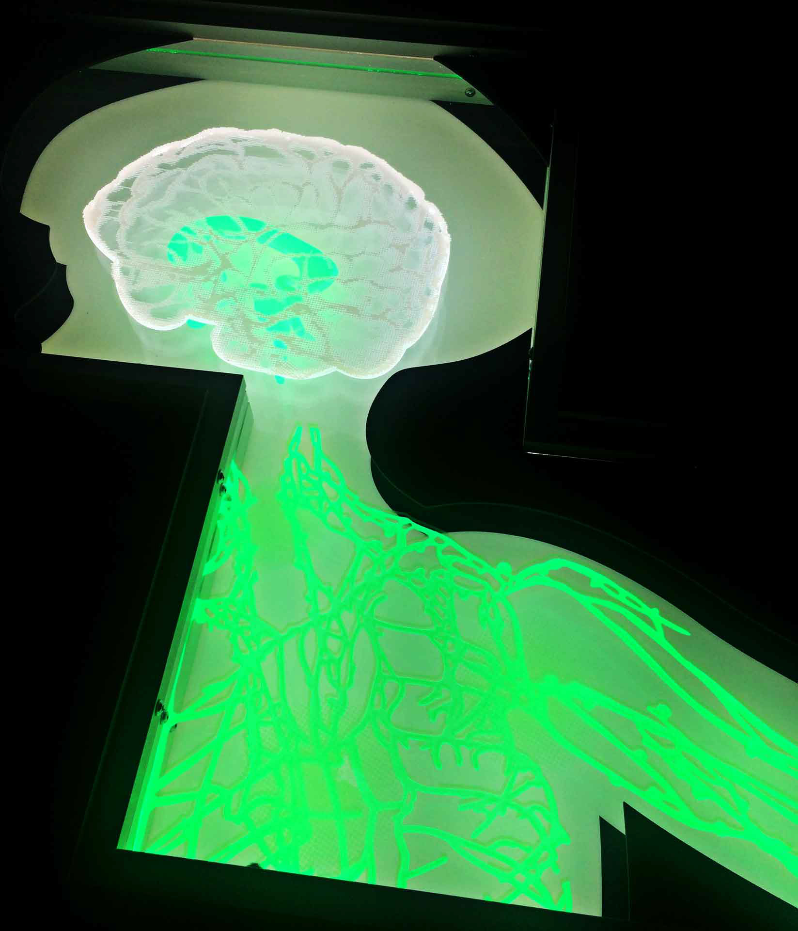 Close up of nervous system wall installation